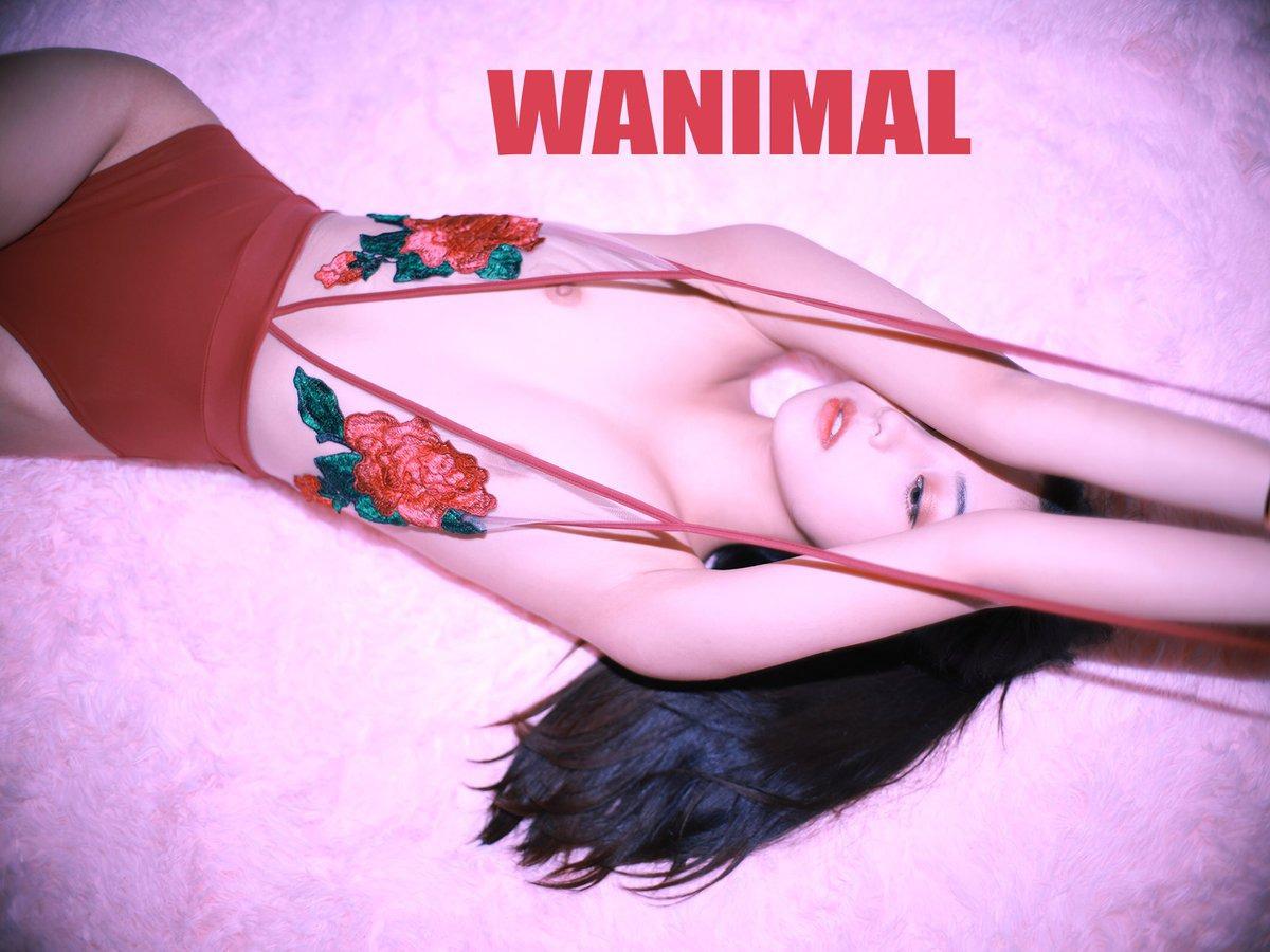 Qinweiyingjie Jiege 57P Người Lớn