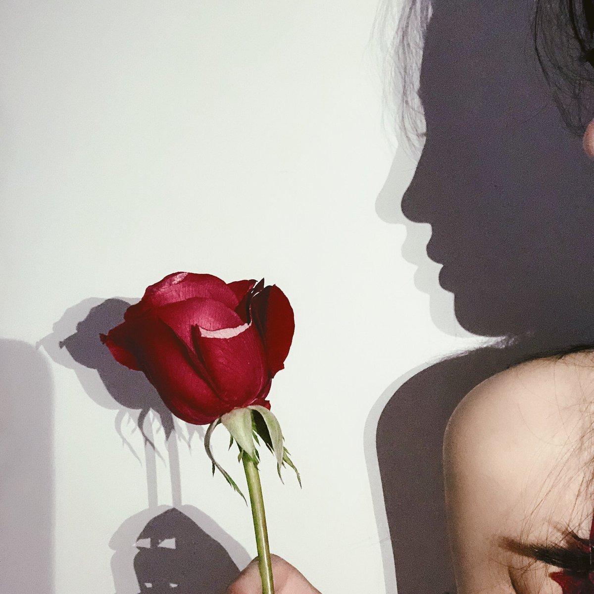 Qinweiyingjie Jiege 57P Người Lớn
