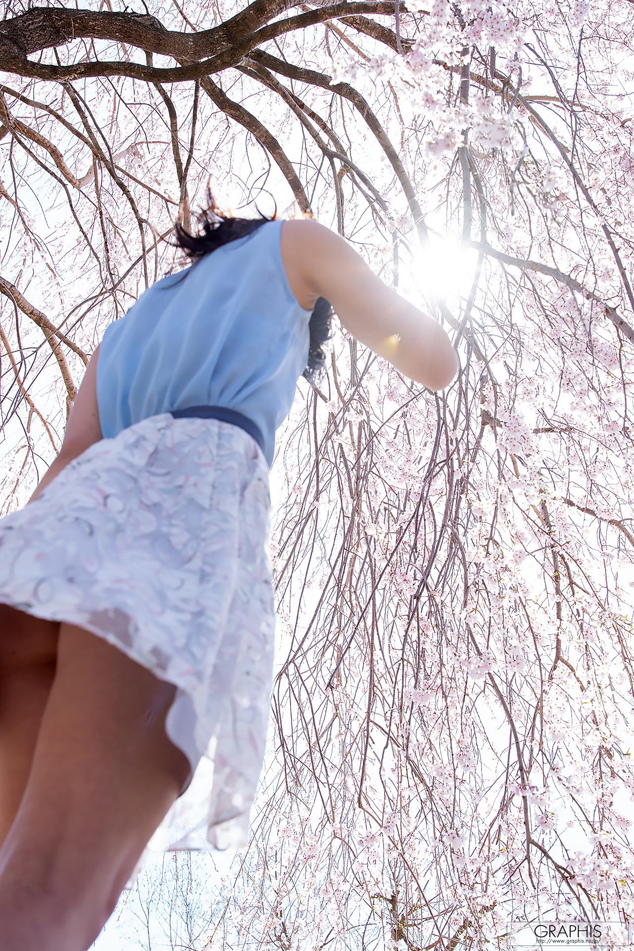 [Graphis] Special Gravure - Suzu Honjo 本庄鈴 160P