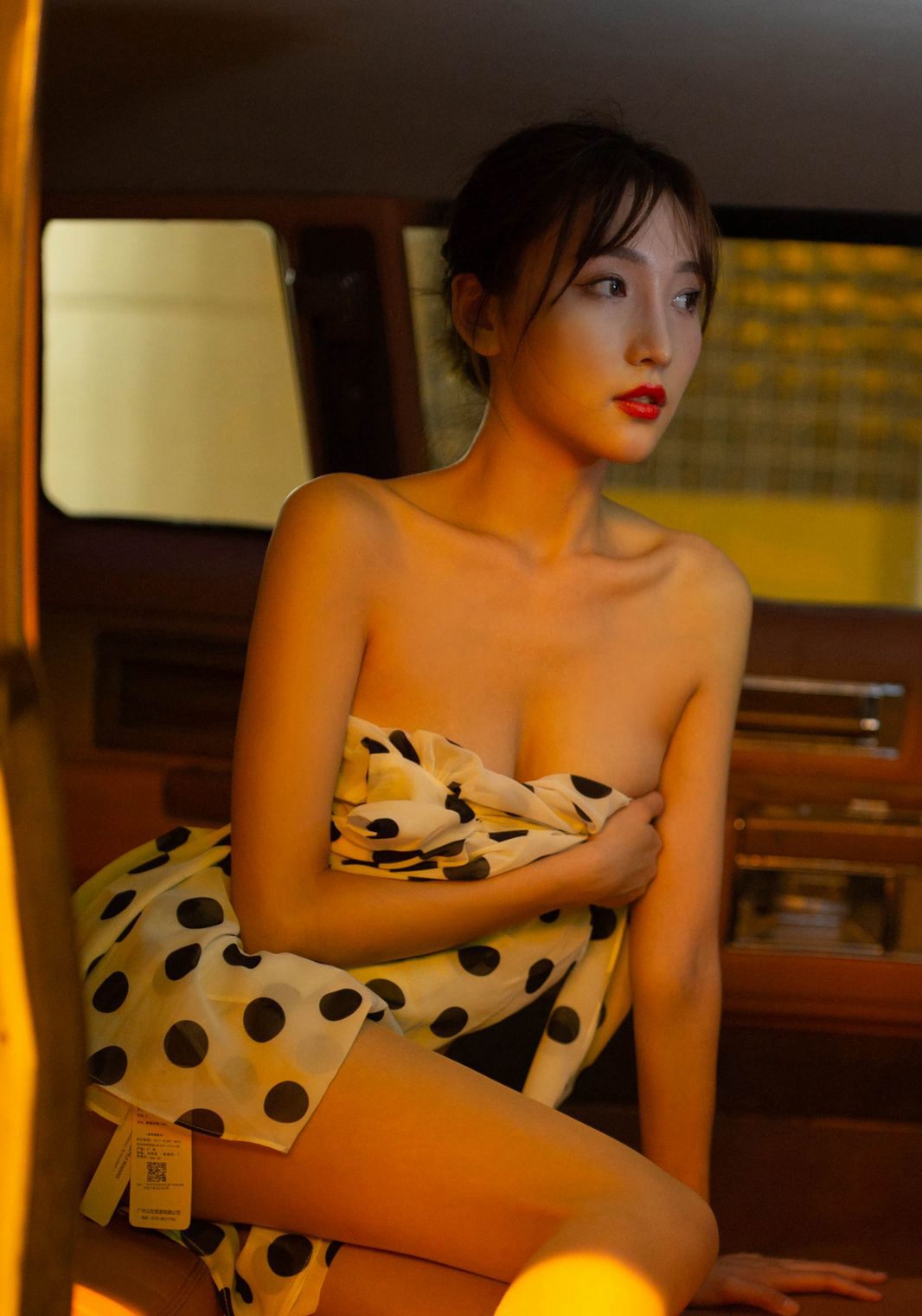 肉色ストッキングの美脚 車内での風流誘惑 尻を突き出しての高画質 玉足美脚写真集
