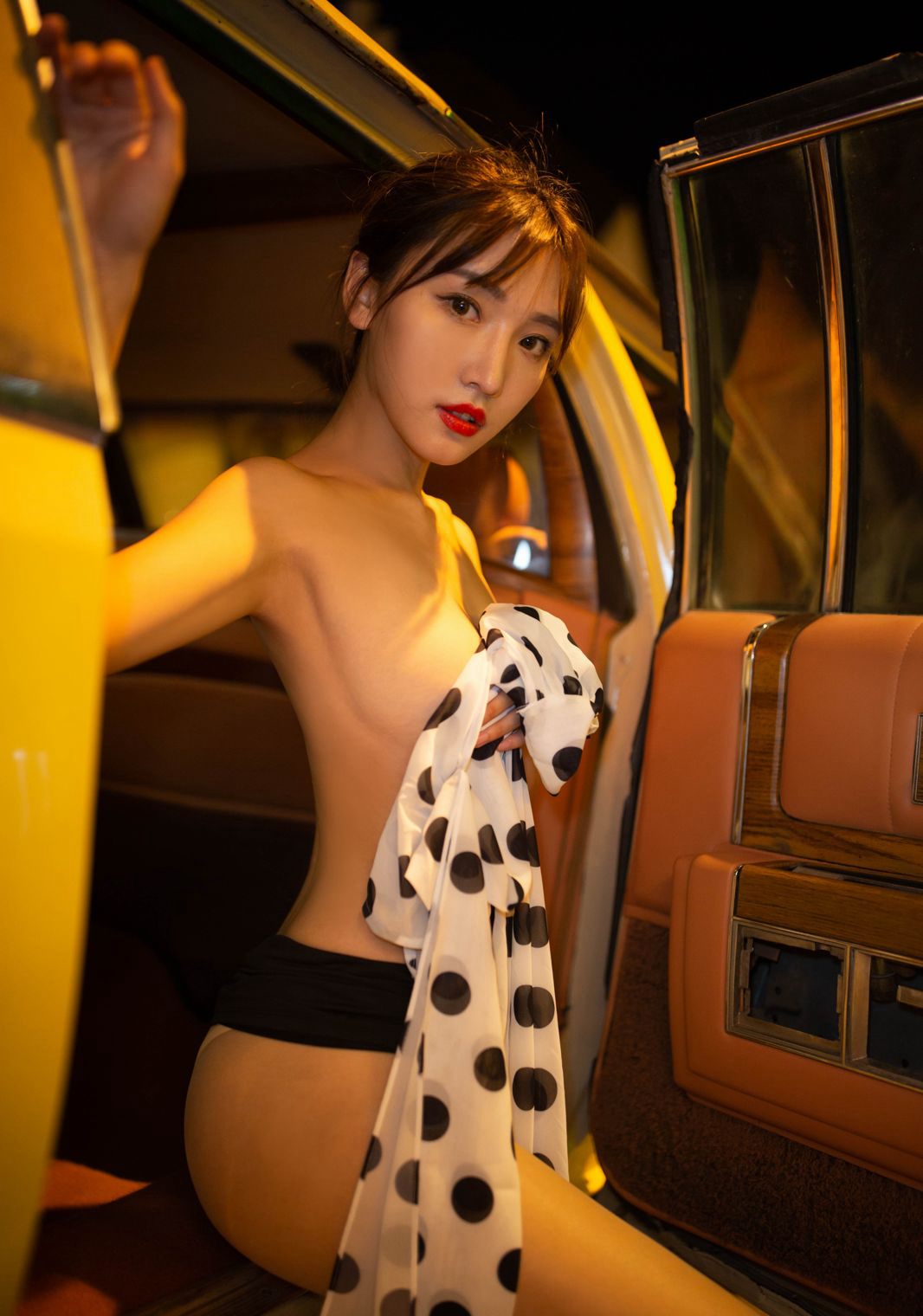 肉色ストッキングの美脚 車内での風流誘惑 尻を突き出しての高画質 玉足美脚写真集