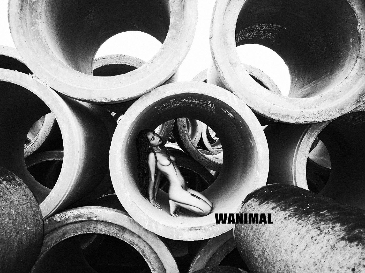 WANIMAL王动作品 160P