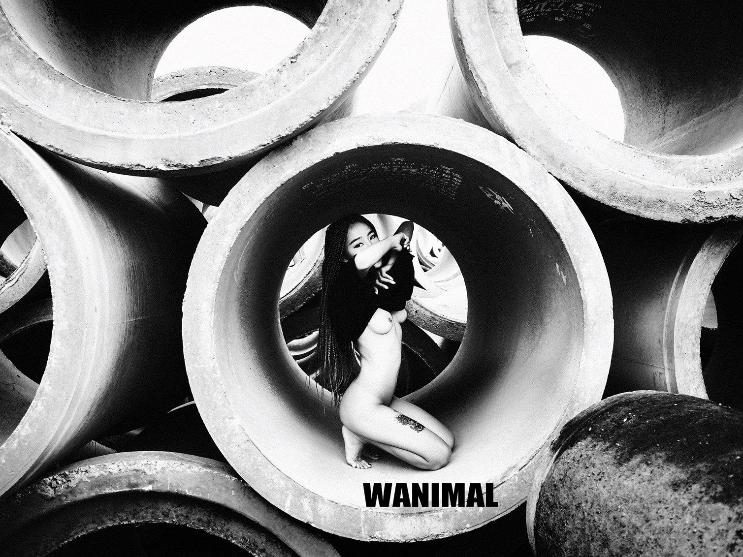 WANIMAL王动作品 160P