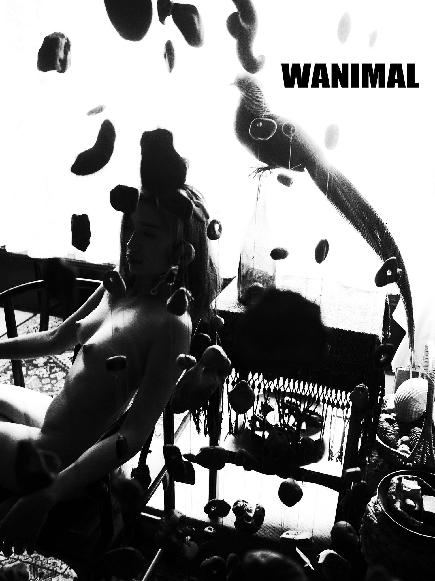 WANIMAL王动作品 160P