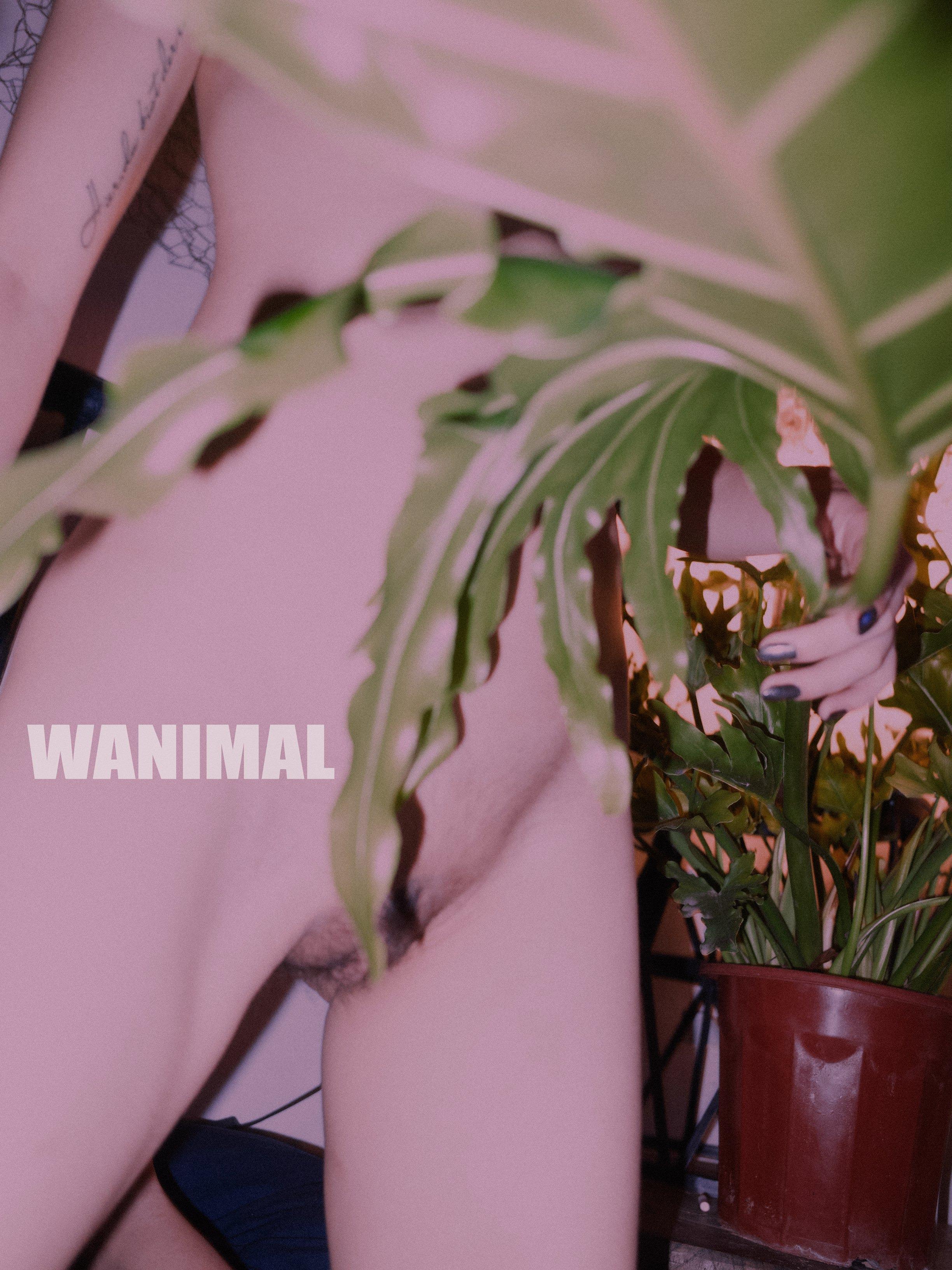 WANIMAL王动作品 160P