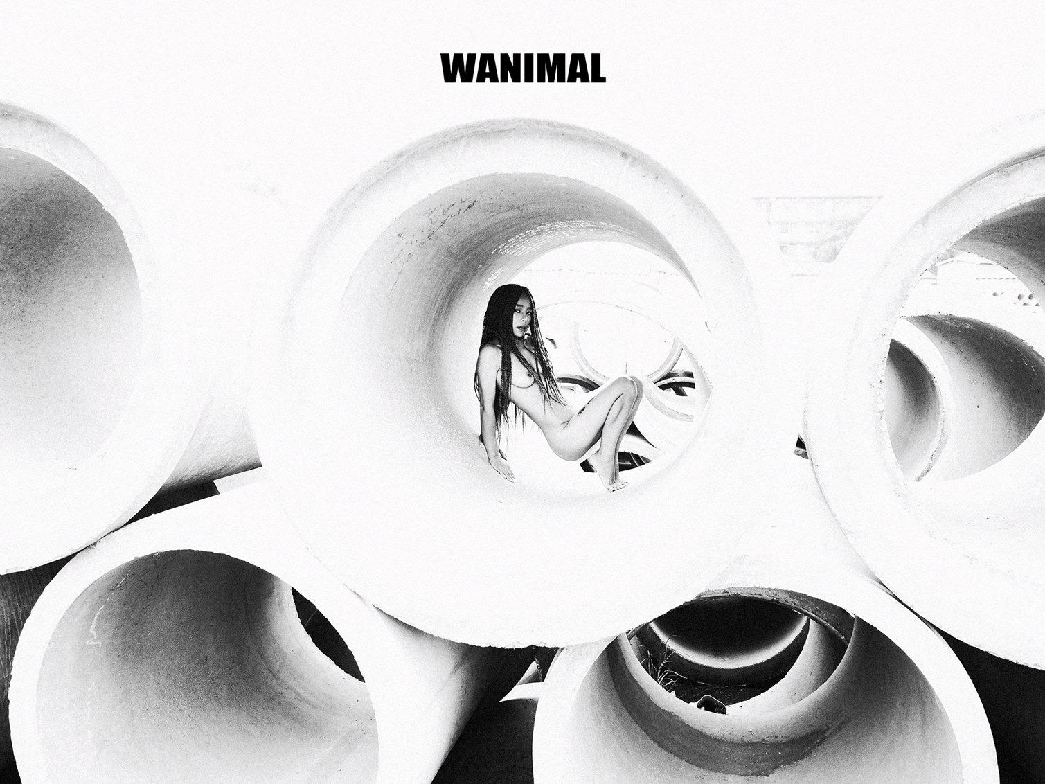 WANIMAL王动作品 160P