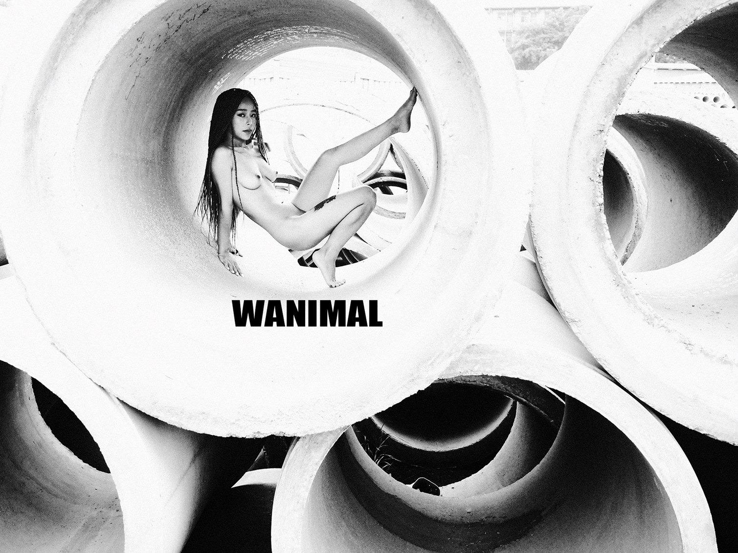WANIMAL王动作品 160P
