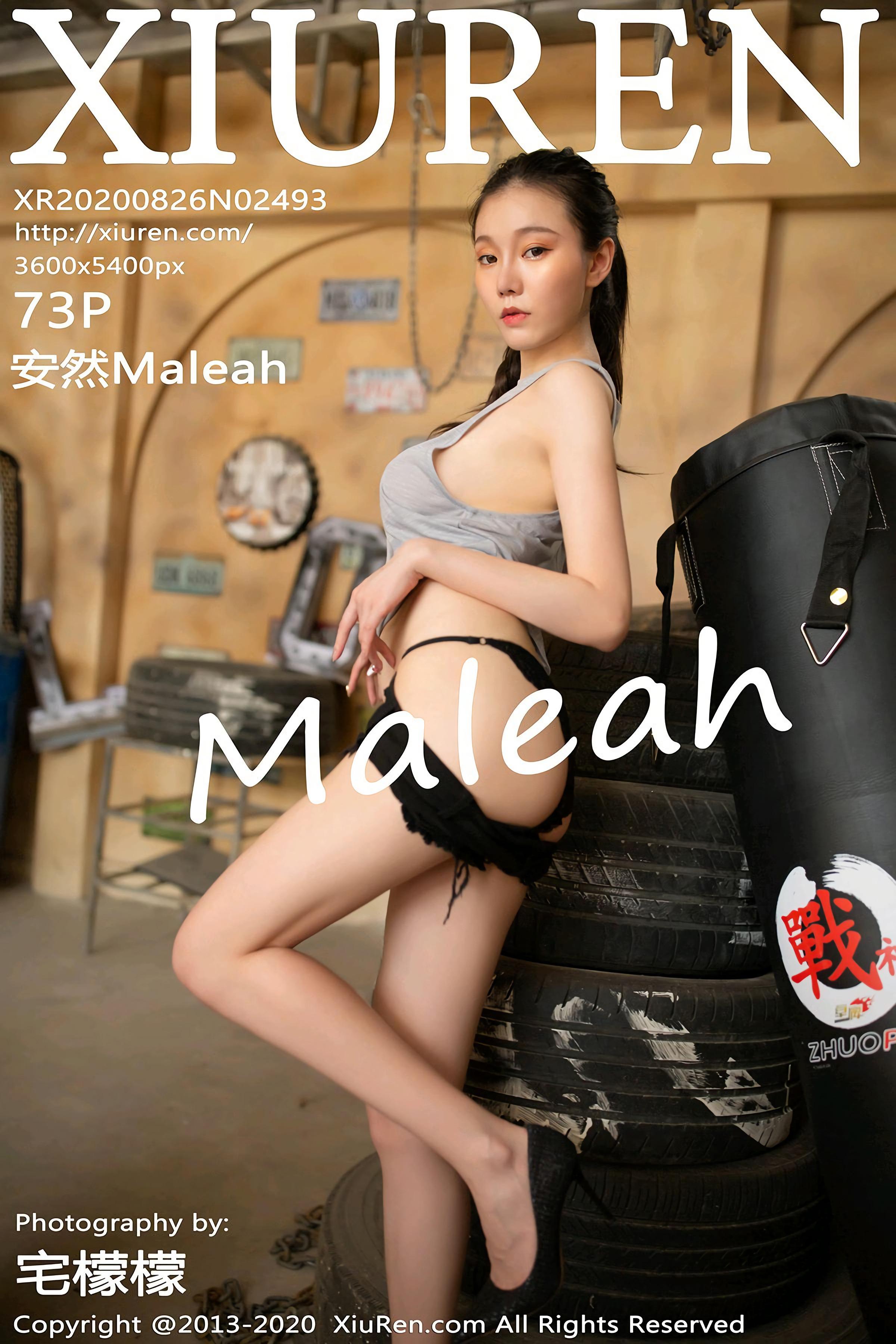 ซีอูเรน] หมายเลข 2493 อันหรันมาเลช 74P