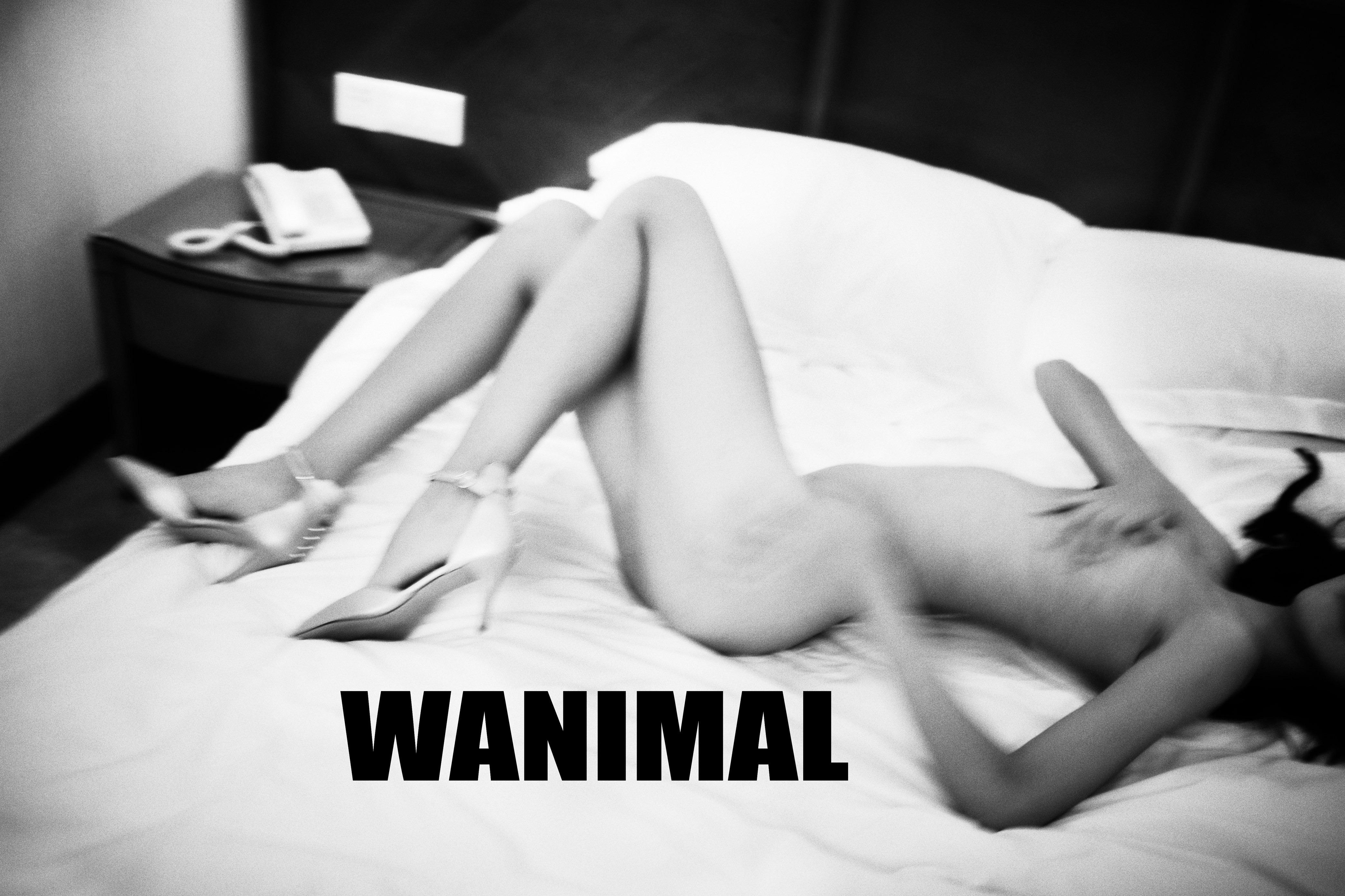 WANIMAL Vương Động Tác phẩm 154P