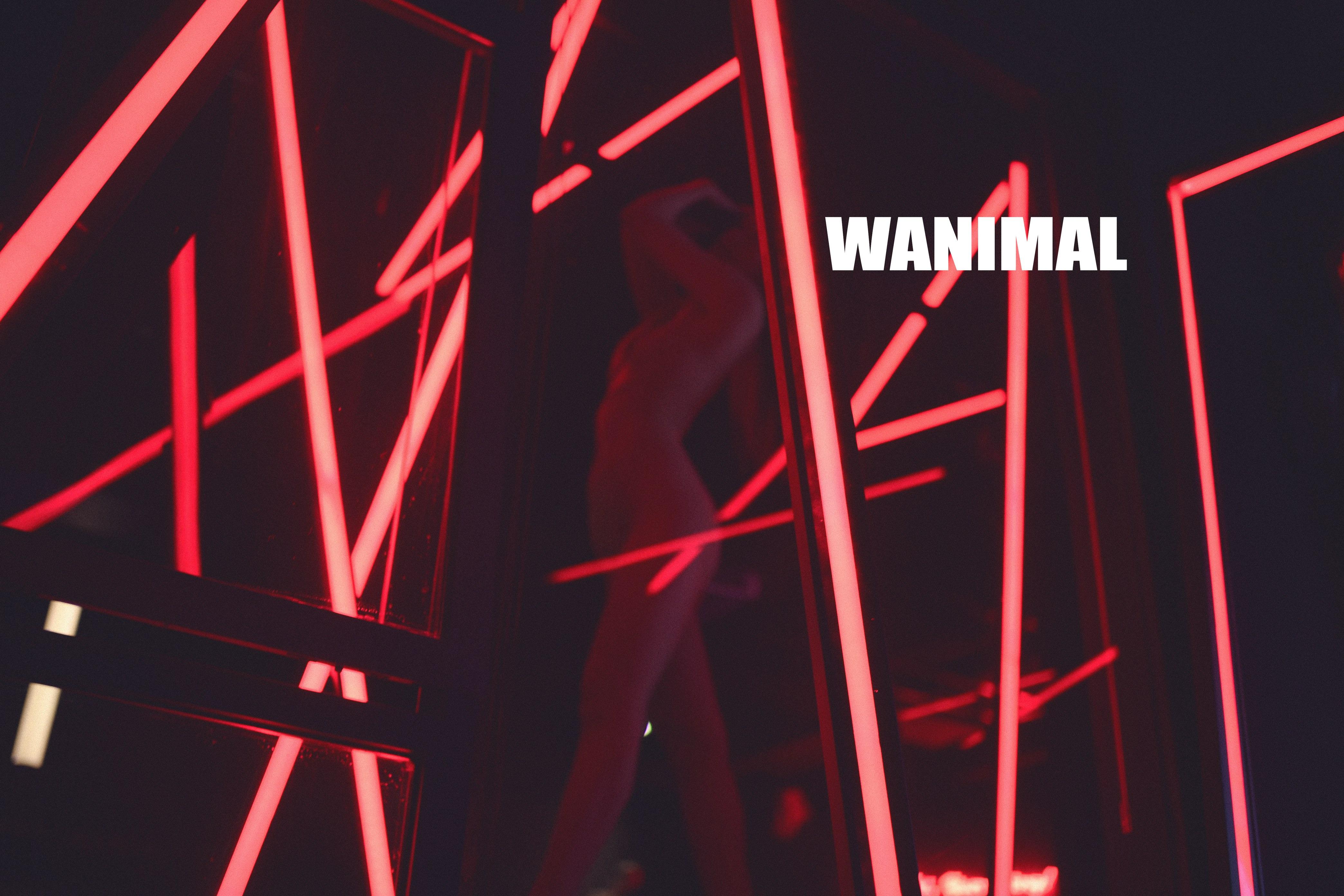 WANIMAL王动作品 154P