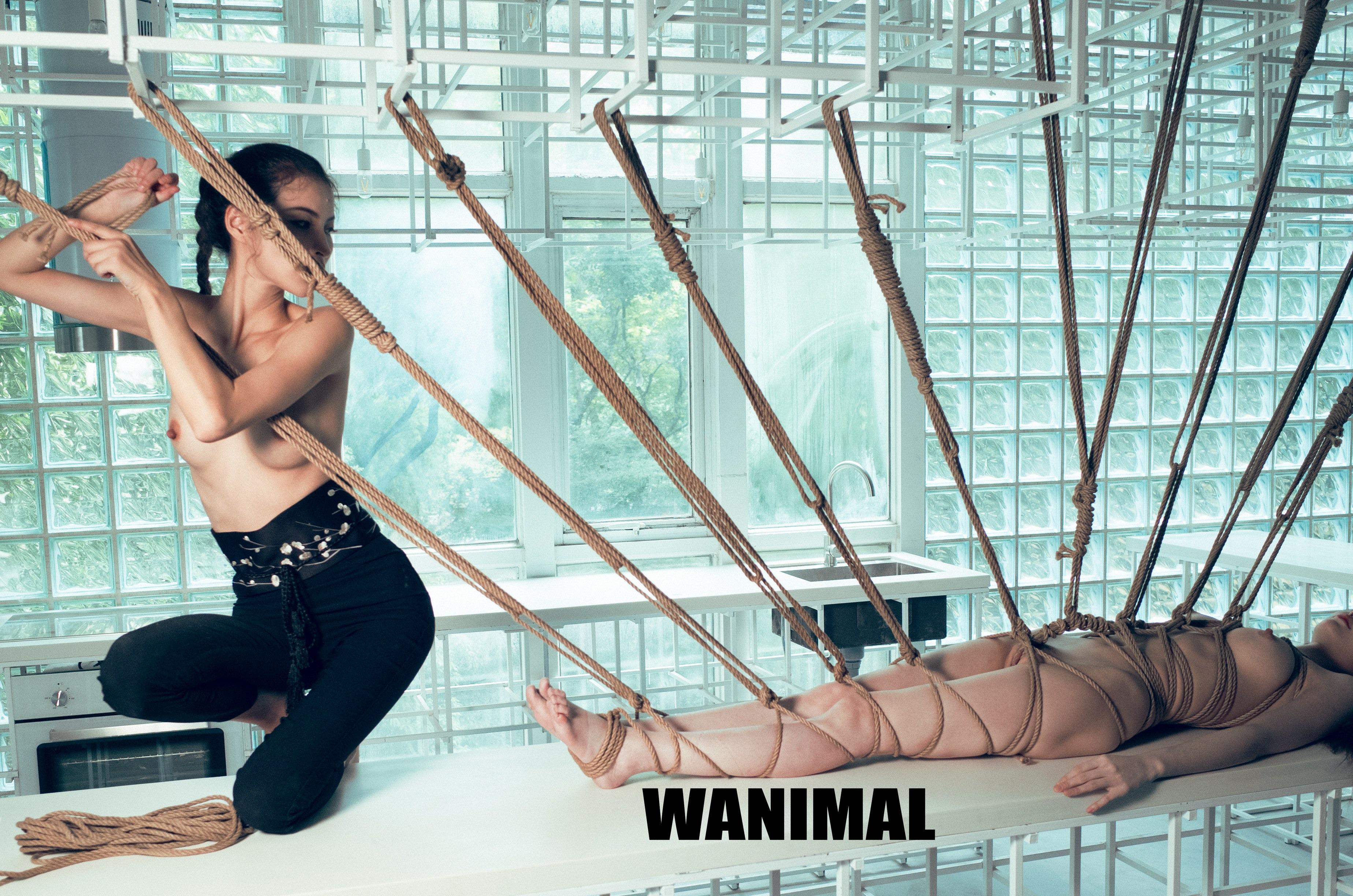 WANIMAL王动作品 154P