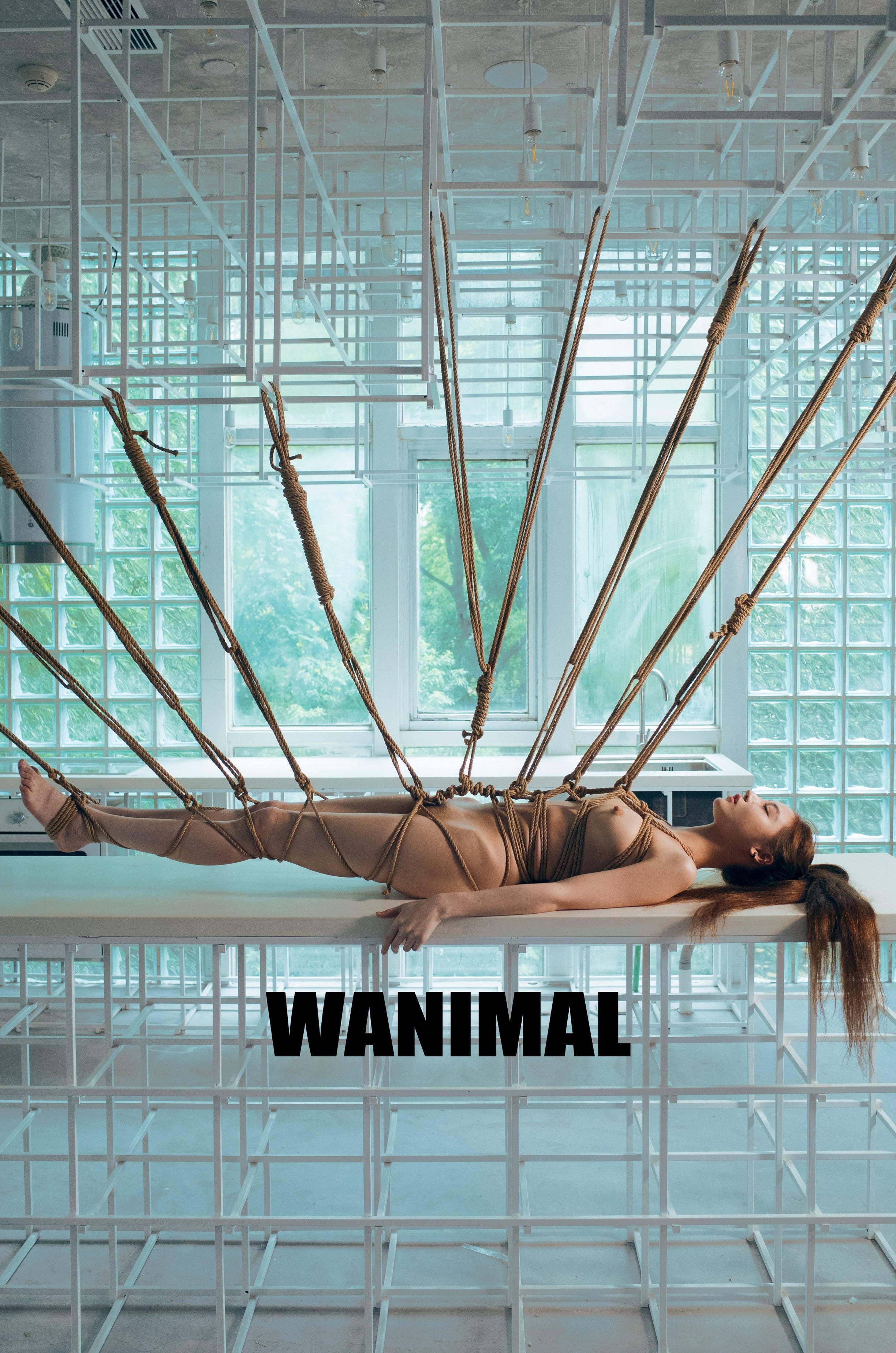 WANIMAL王动作品 154P