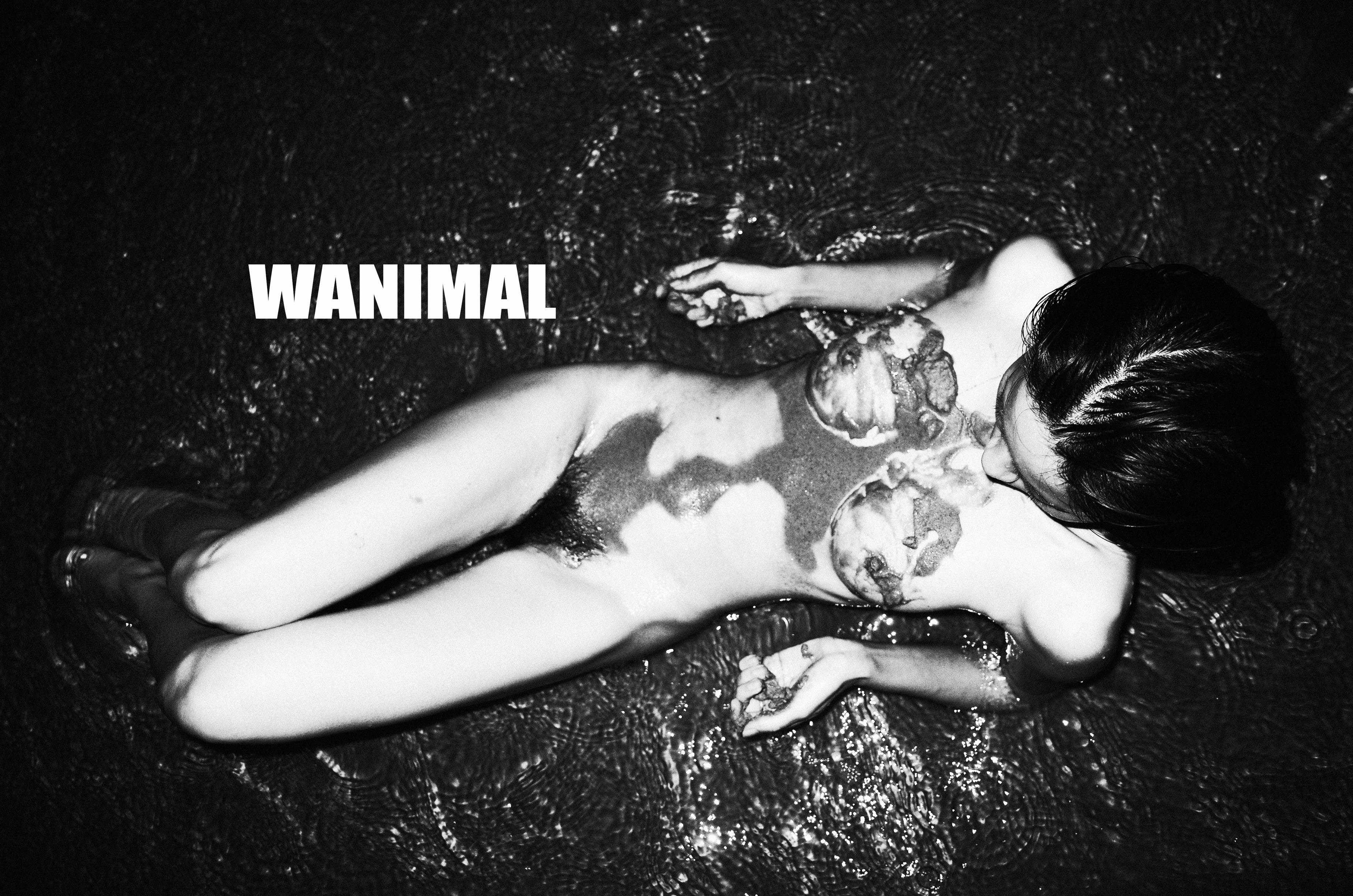 WANIMAL Wang Dong Works 154P