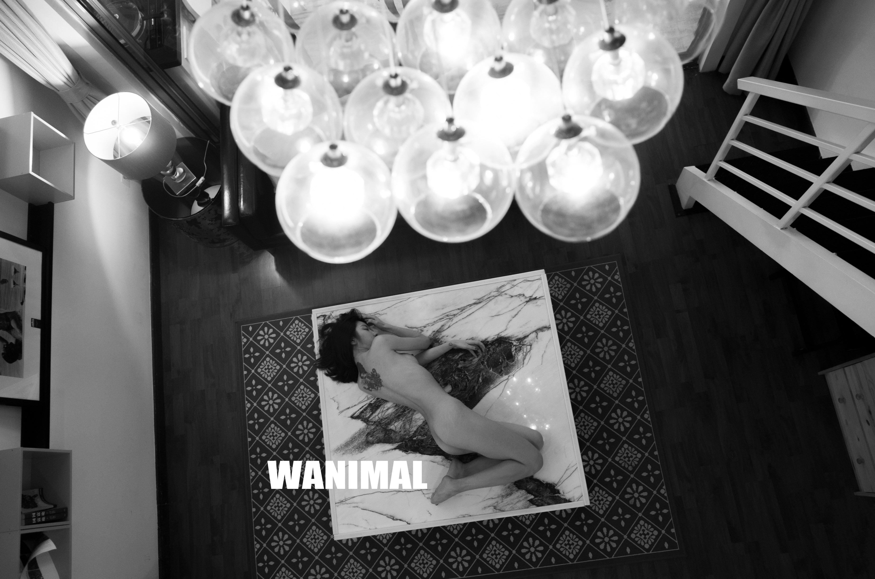WANIMAL王动作品 154P