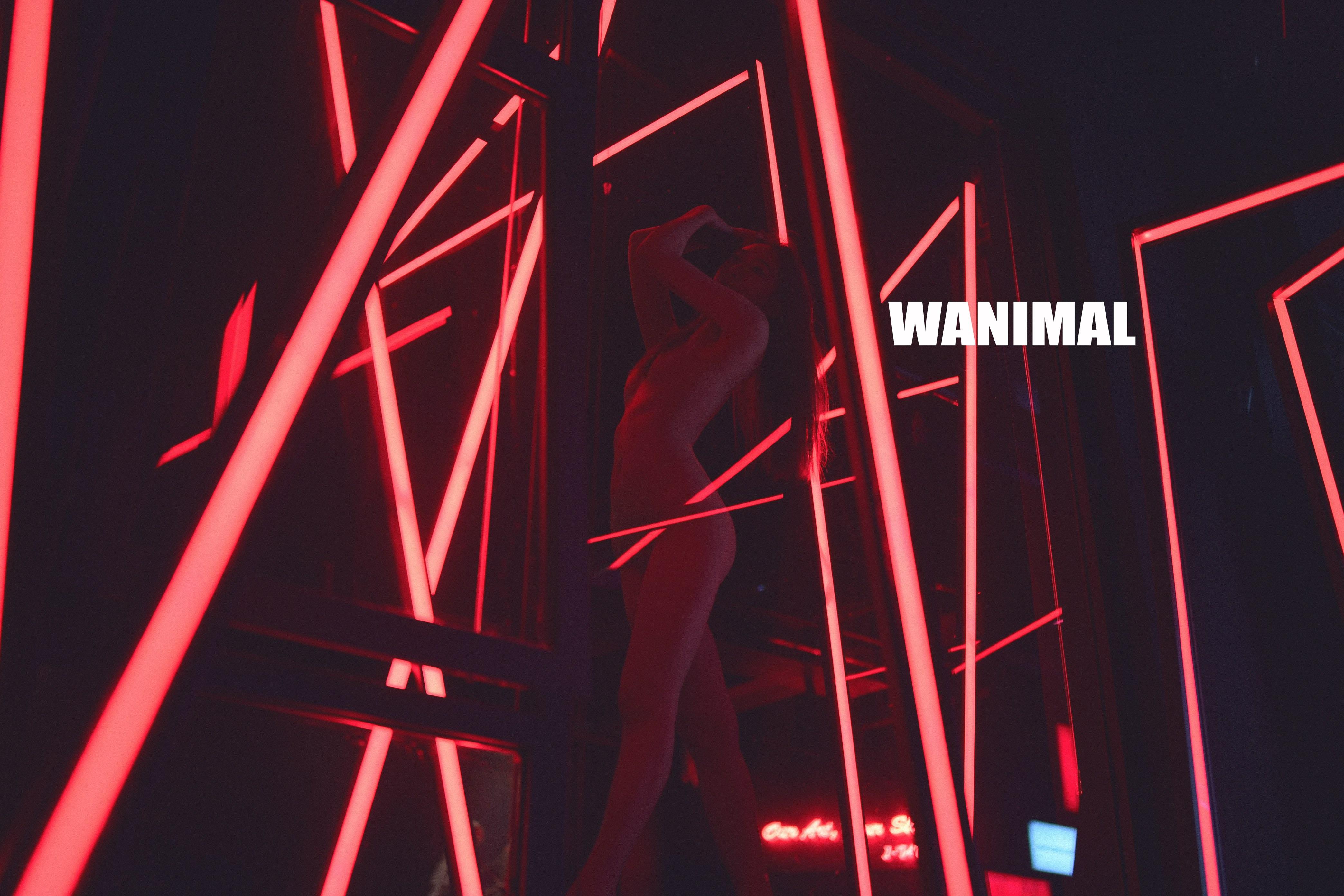 WANIMAL王动作品 154P