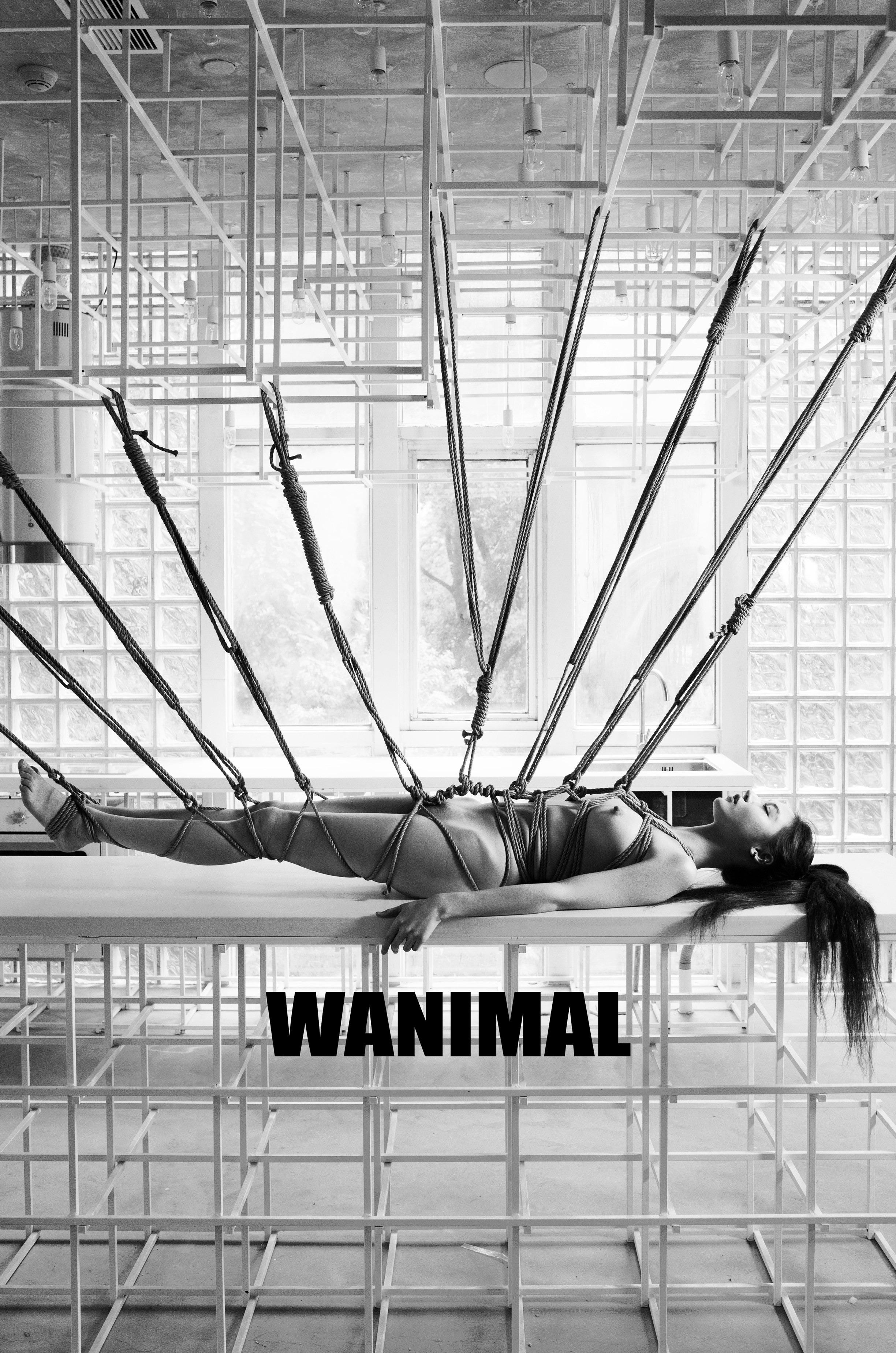 WANIMAL王动作品 154P