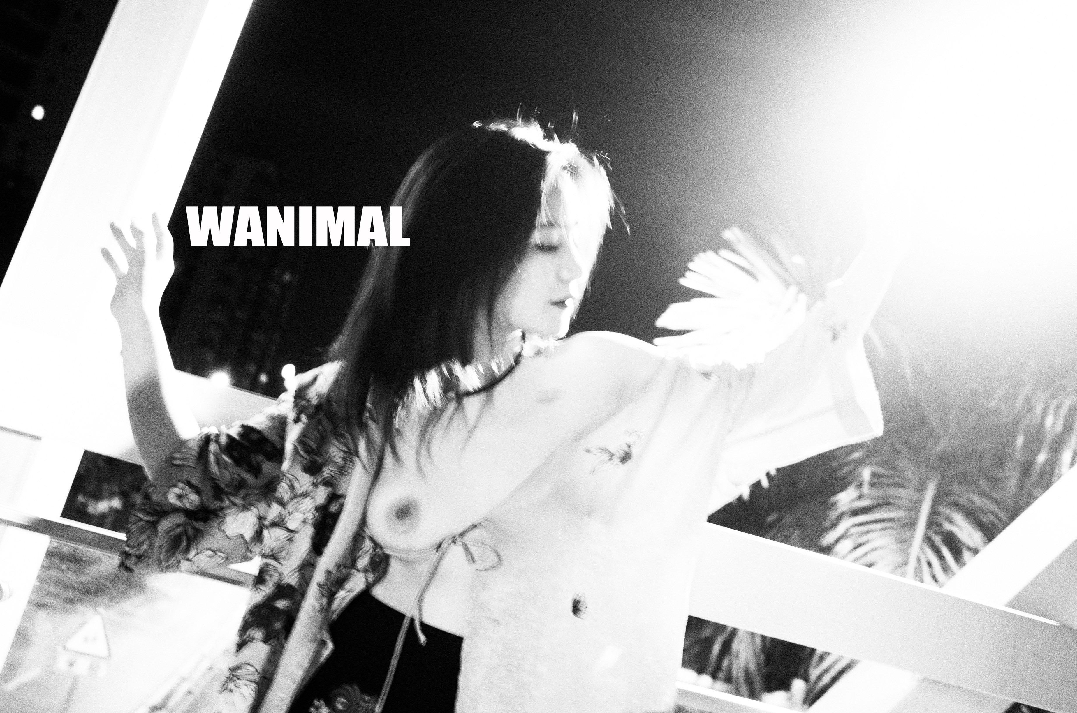 WANIMAL Vương Động Tác phẩm 154P