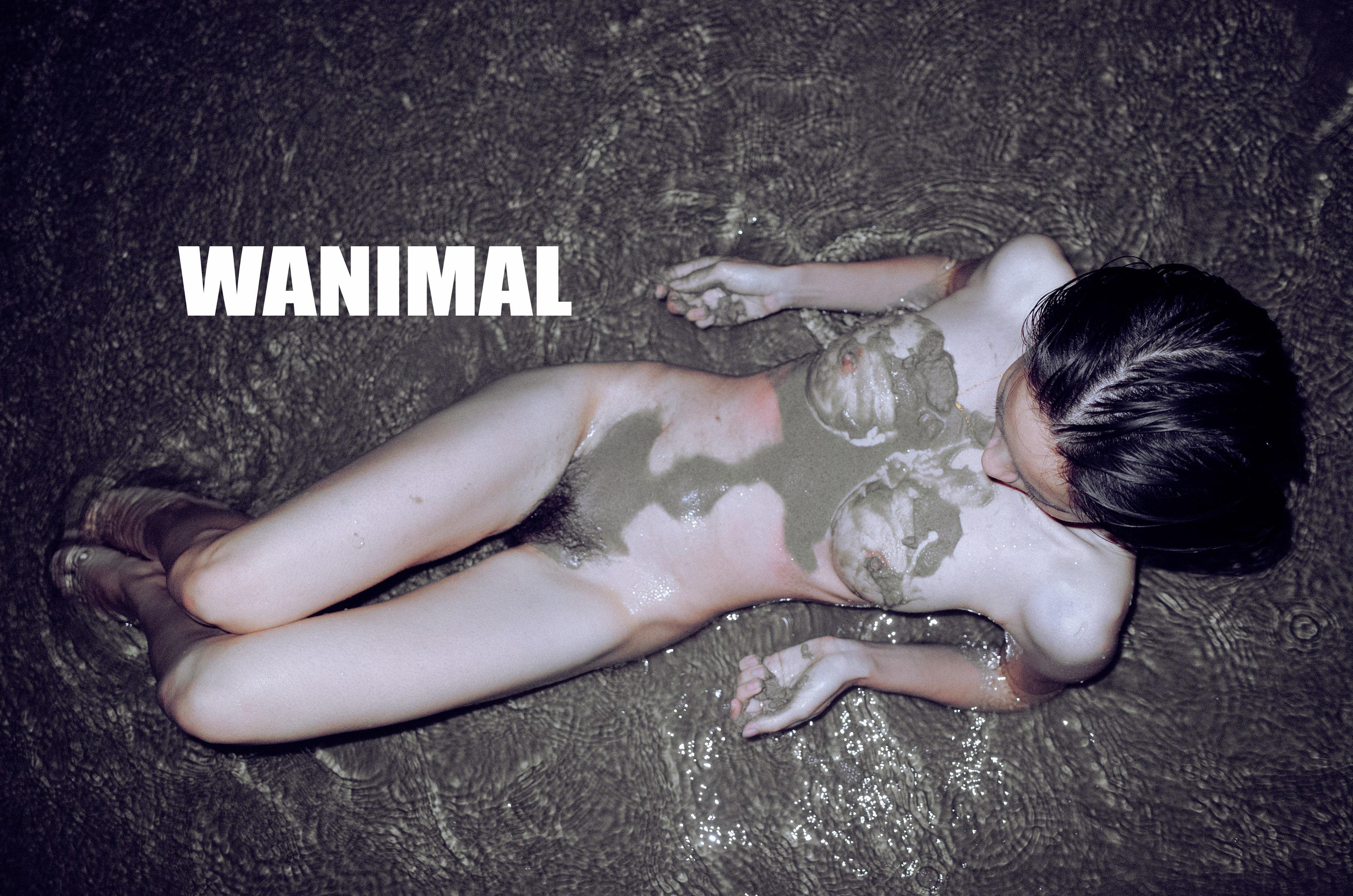 WANIMAL Wang Dong Works 154P