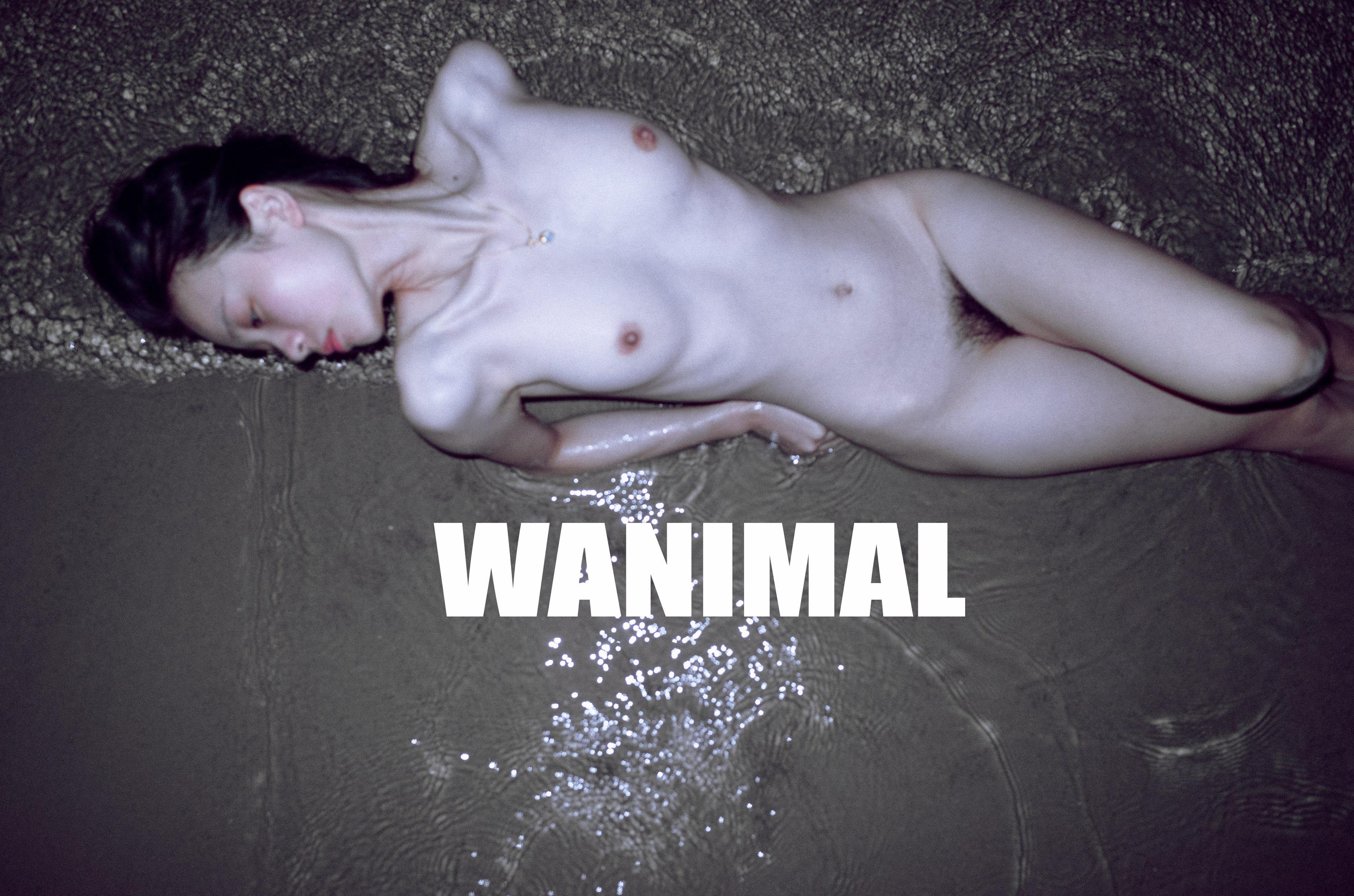 WANIMAL Wang Dong Works 154P