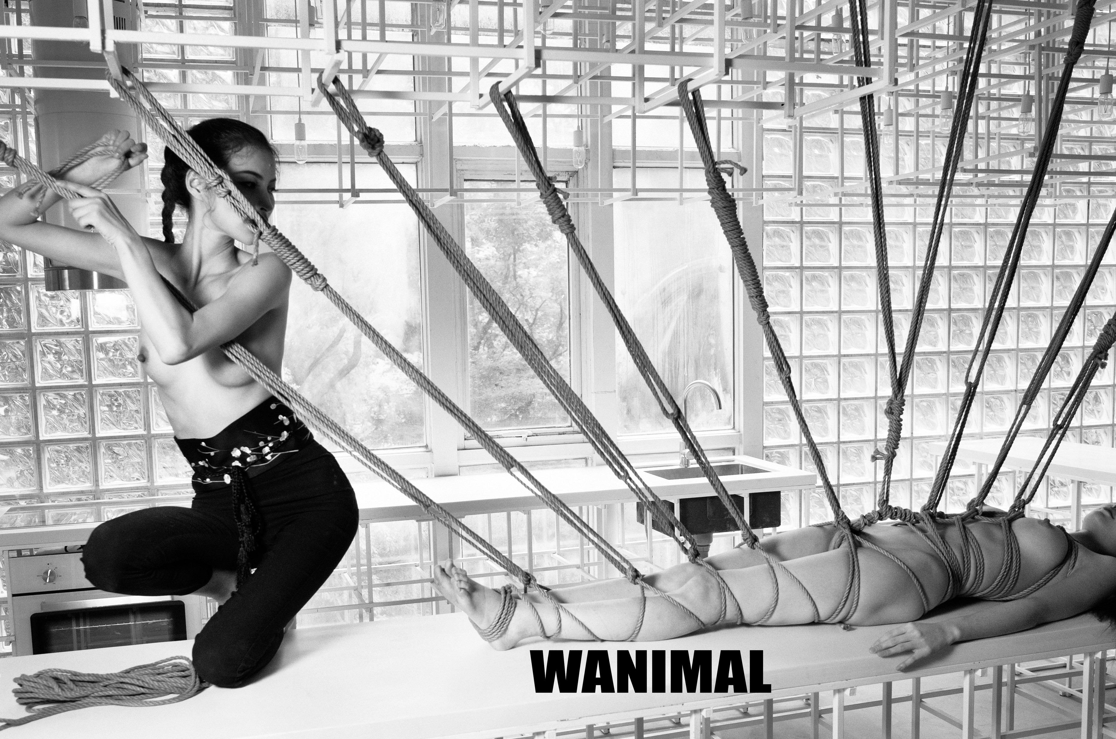 WANIMAL王动作品 154P