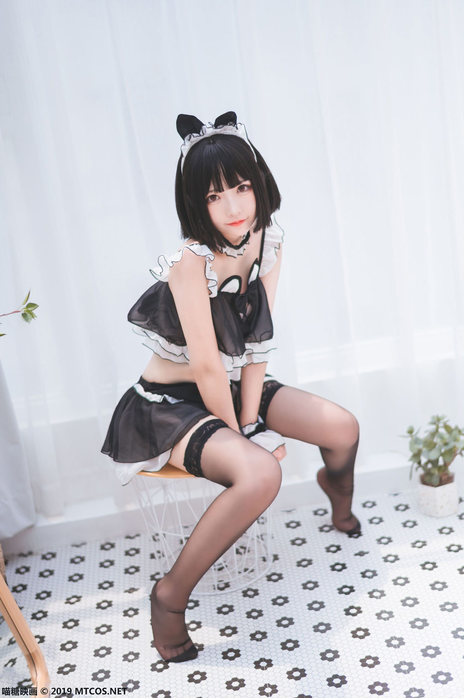 Miêu Đường Điện Ảnh] VOL.060 Hắc Tơ Tai Mèo