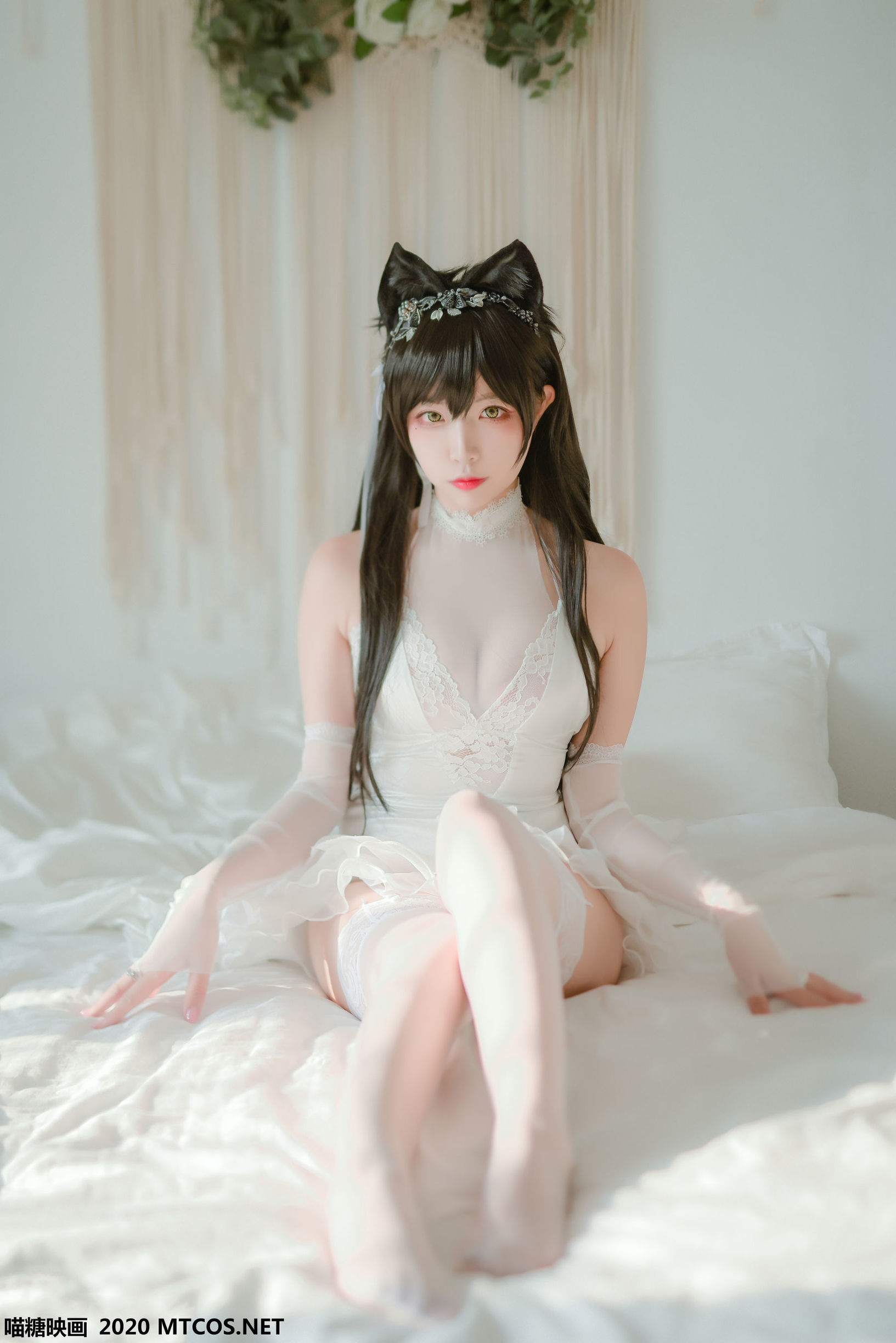 Miêu Đường Điện Ảnh] VOL.100 Áo cưới Ái Đang