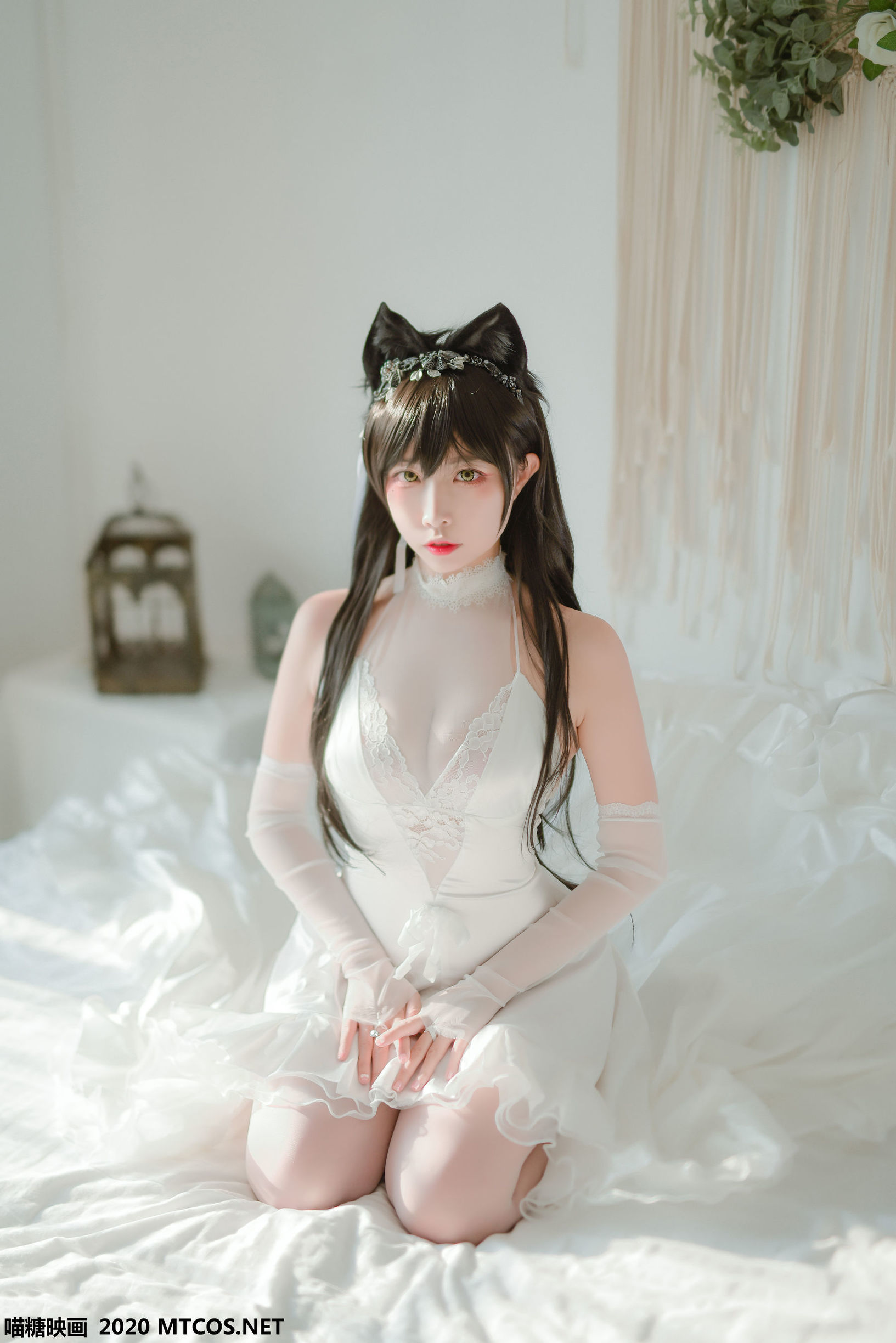 Miêu Đường Điện Ảnh] VOL.100 Áo cưới Ái Đang