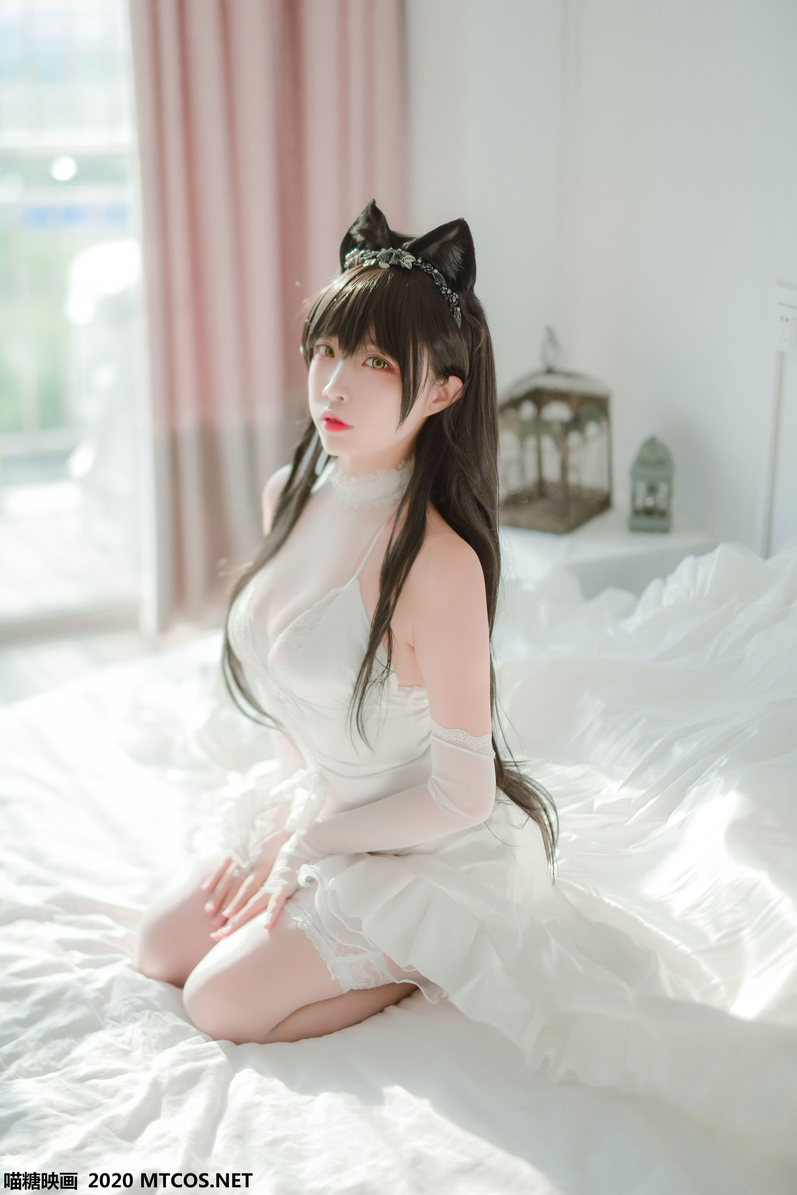 Miêu Đường Điện Ảnh] VOL.100 Áo cưới Ái Đang