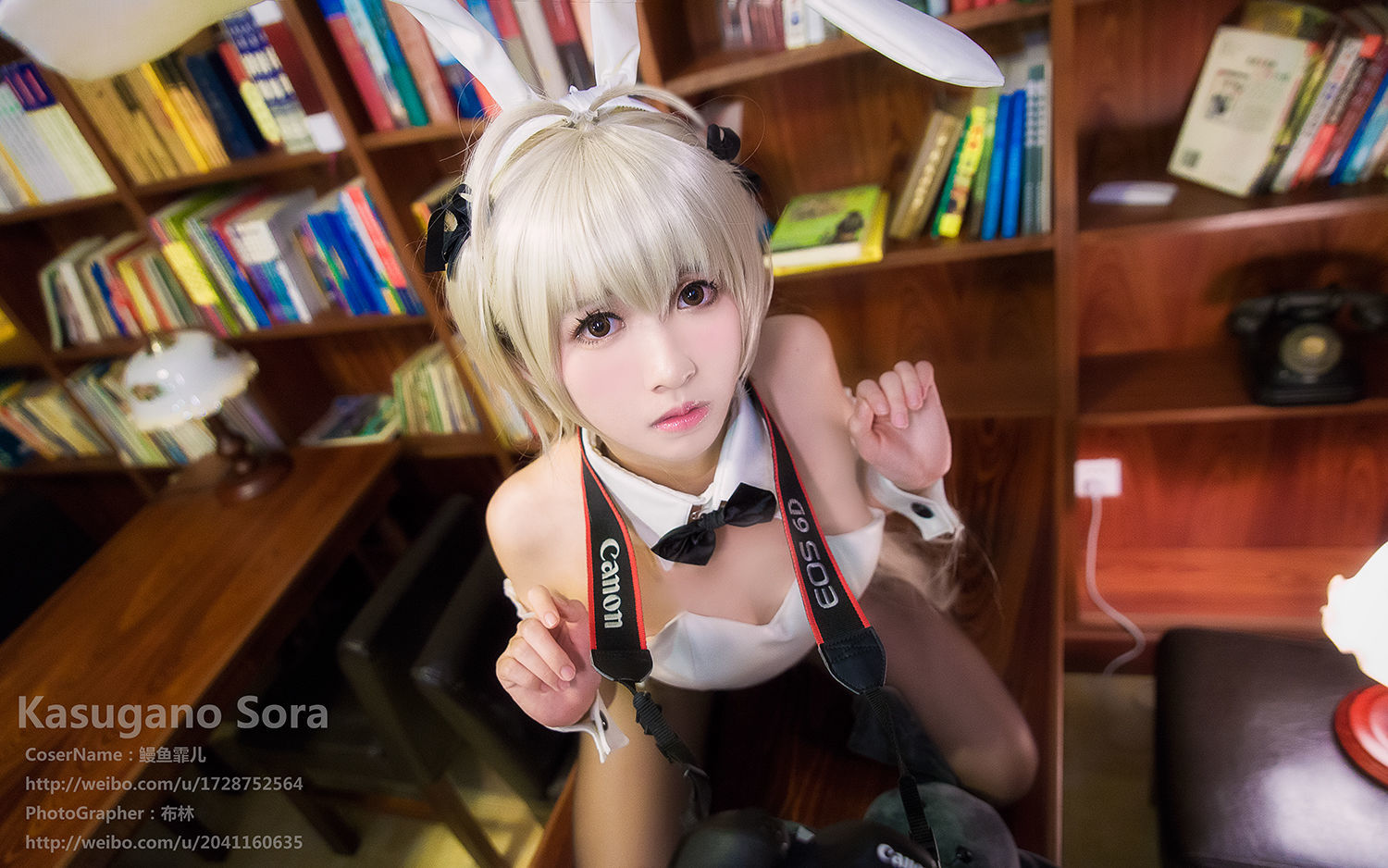 โลลิตะคอสเพลย์] อึนยฺวีเฟยเอ๋อ - เยิร์นชิโซระ โควงเมย กระต่ายสาว คอสเพลย์