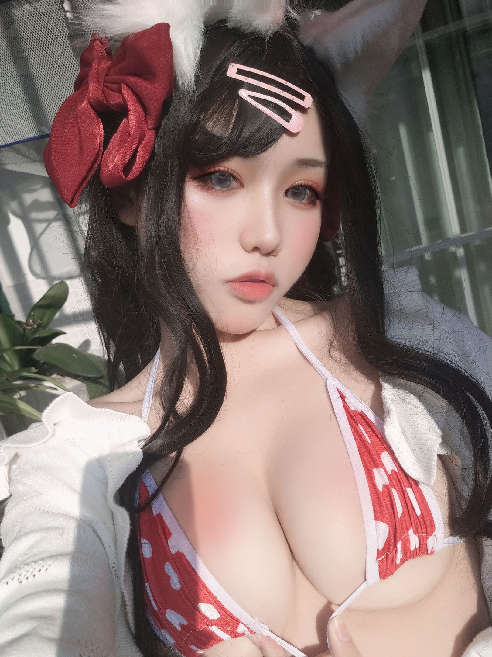 一笑芳香沁寫真 窗與寵物貓