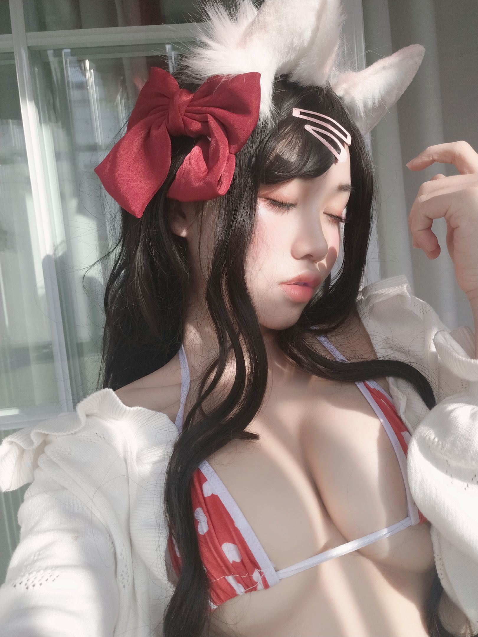 一笑芳香沁寫真 窗與寵物貓