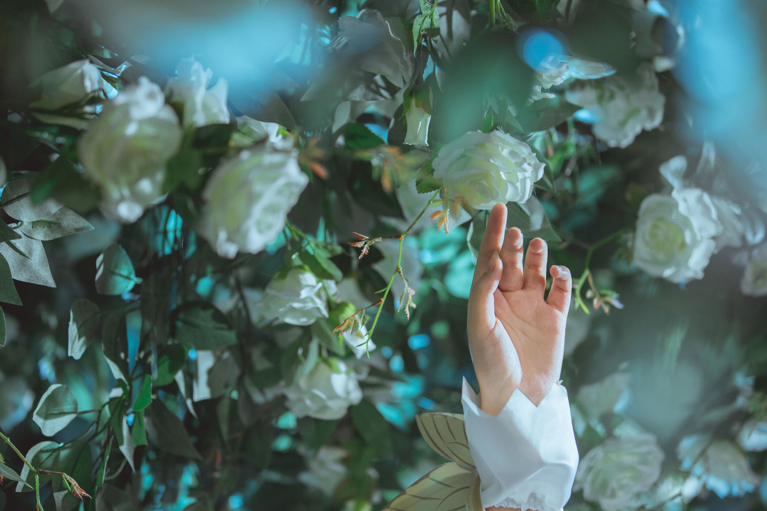 인기 코스플레이어 치구얼 미키 왕자영요 표선 황금색 한여름 밤의 꿈