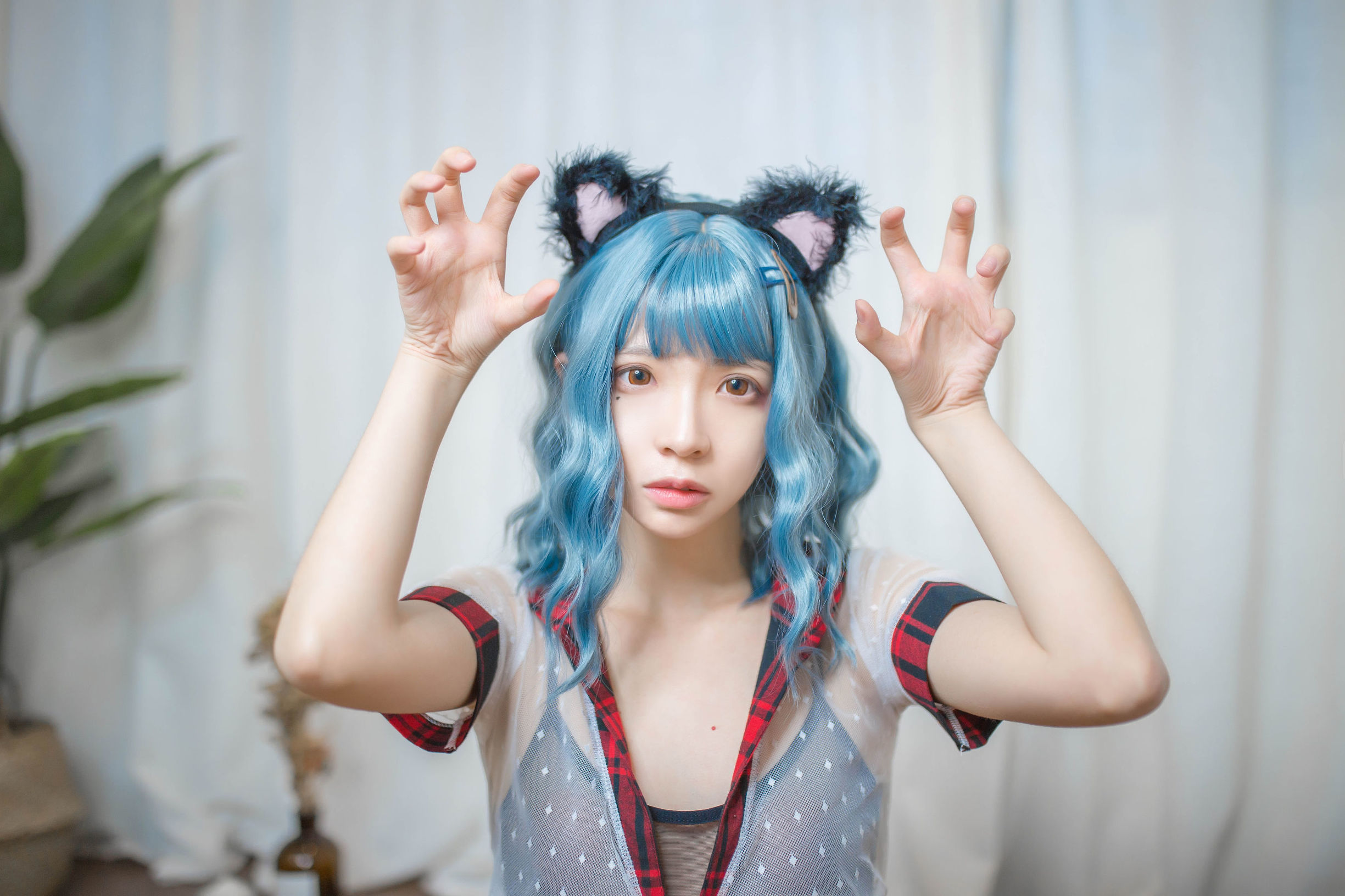 คอสเพลย์ภาพถ่าย] เฟิงเมาเอสเอส - ผมสีน้ำเงิน