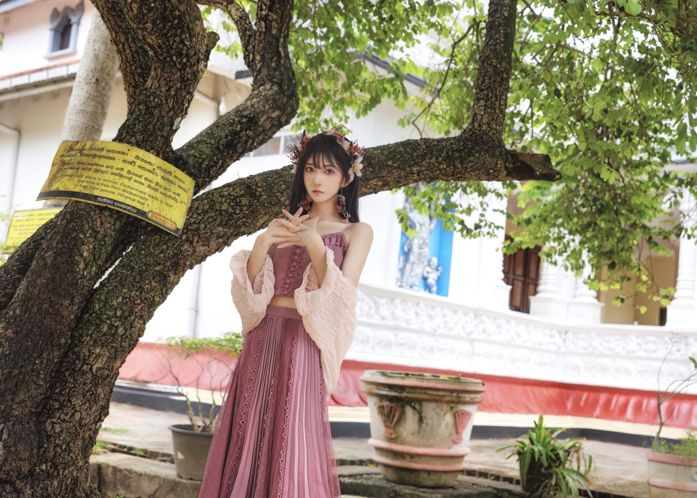 คอสเพลย์ภาพถ่าย] บล็อกเกอร์อนิเมะ นันเทา โมโมโกะ - สีม่วง ชีวิตประจำวัน