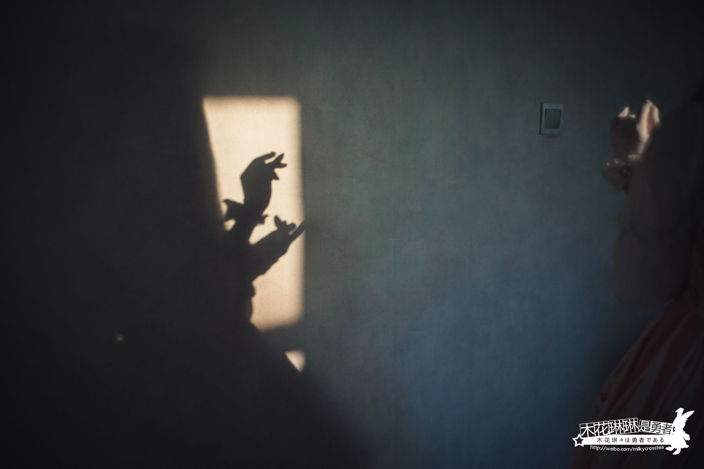 Cosplay写真] フクリアヒメ・モッカリンリンは勇者 - 未来日記
