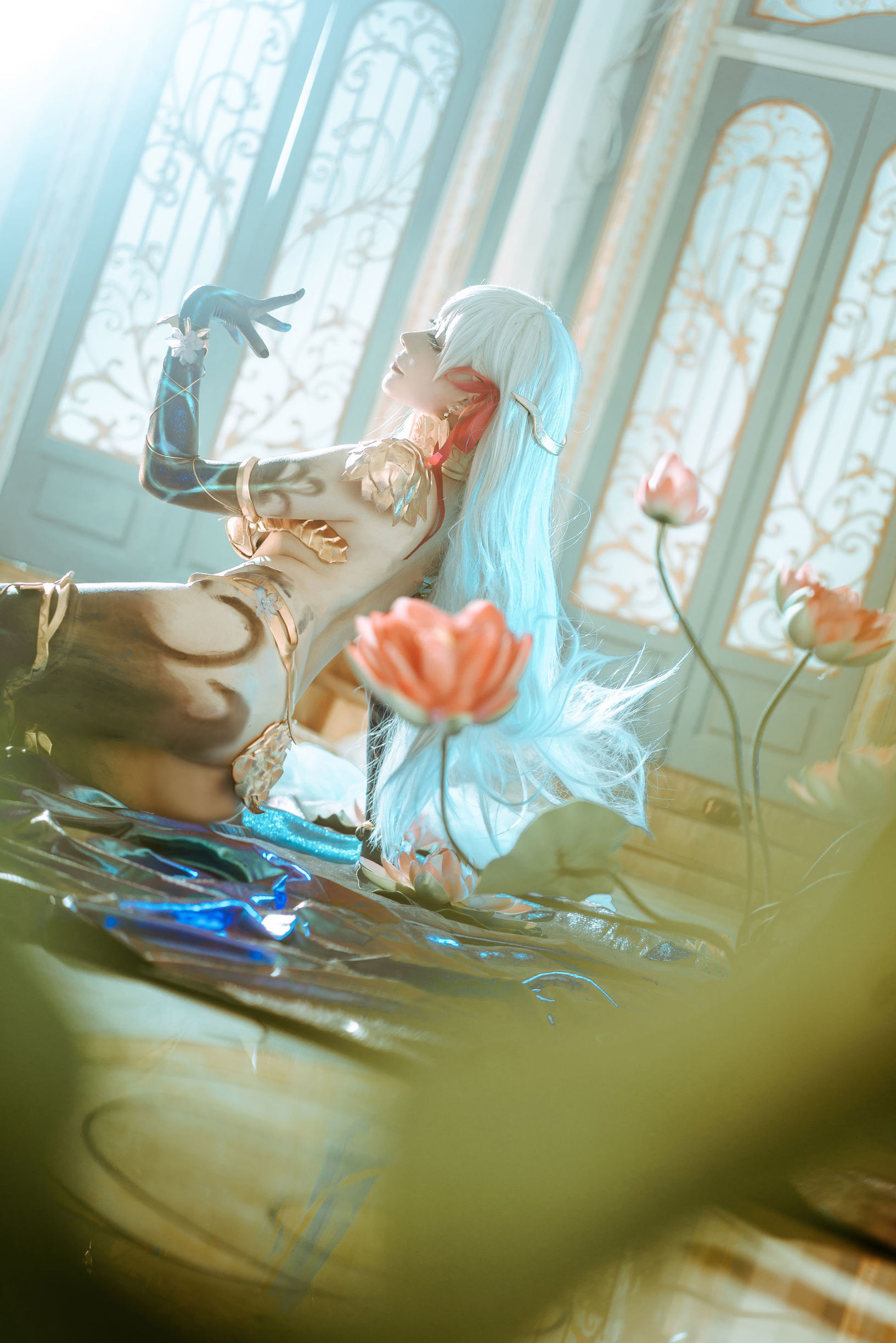 인터넷 유명 코서] 고미모 코서 년년_D - 가마