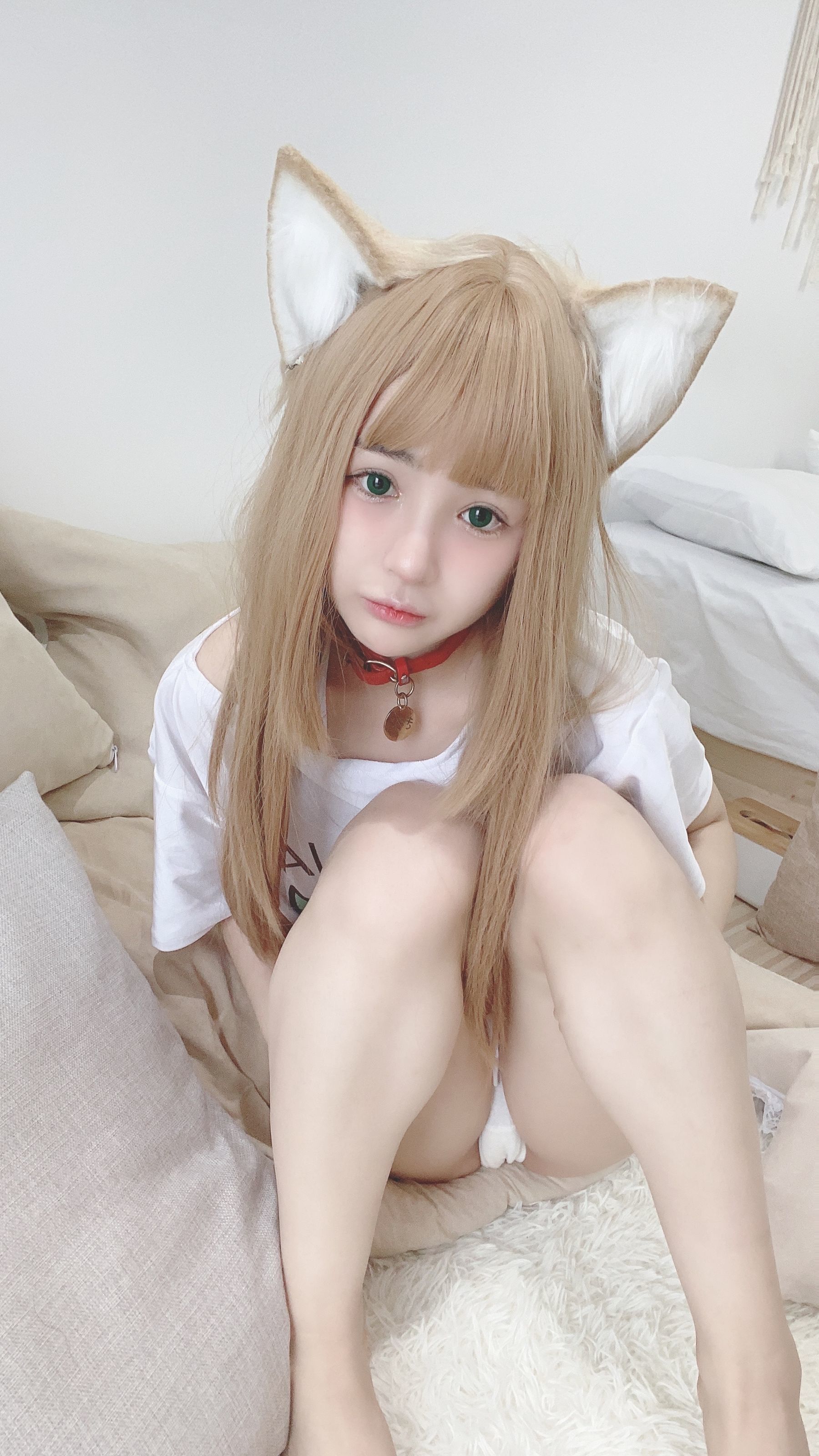 [Cosplay] 桜井宁宁 - 猫娘