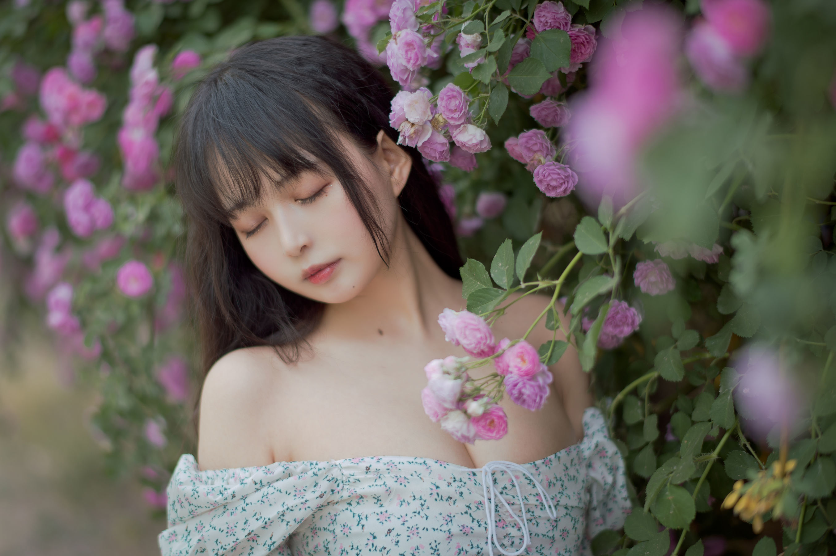 Meow Sugar Film] Vol. 338 Rozen Maiden