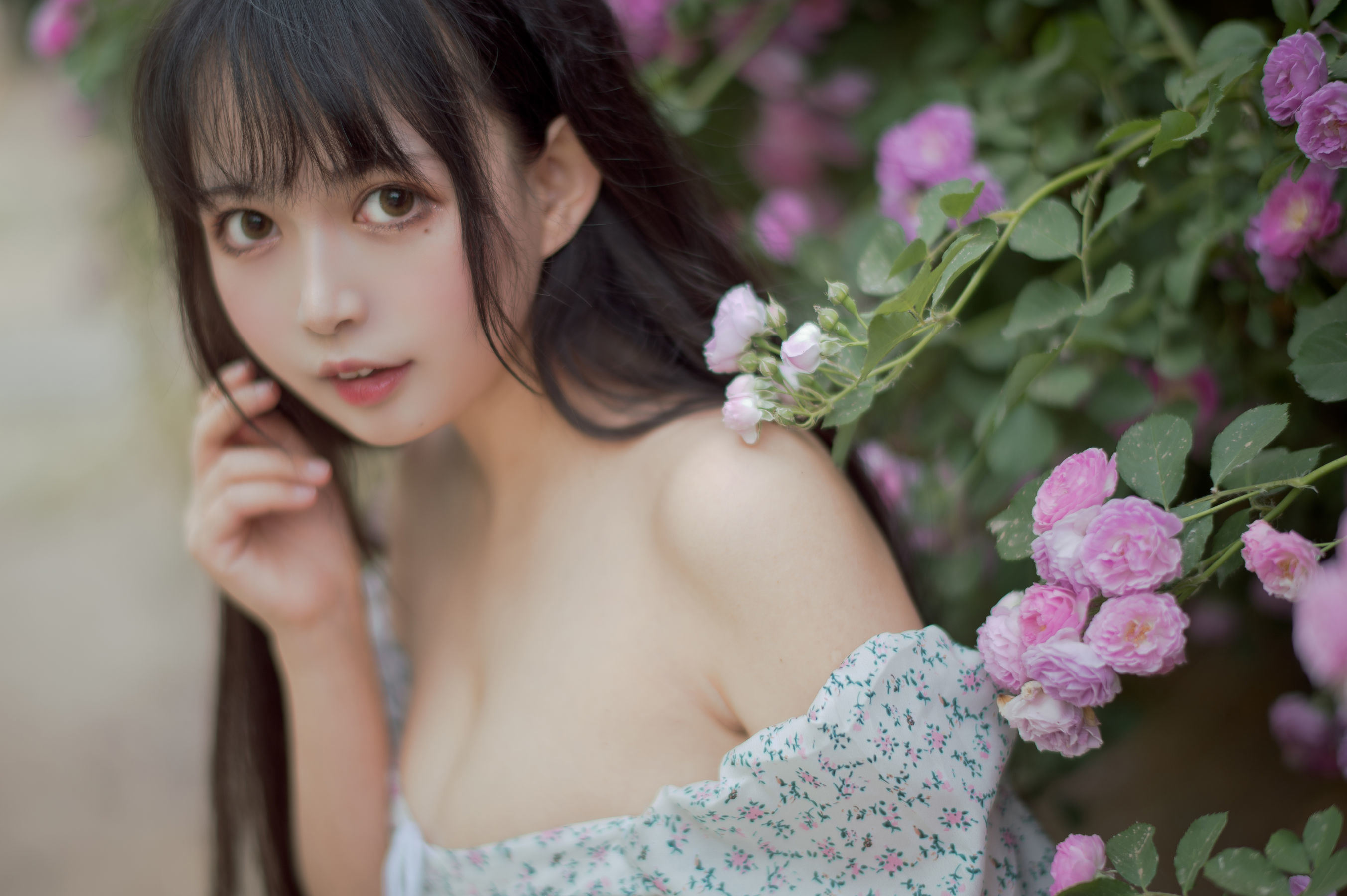 Meow Sugar Film] Vol. 338 Rozen Maiden
