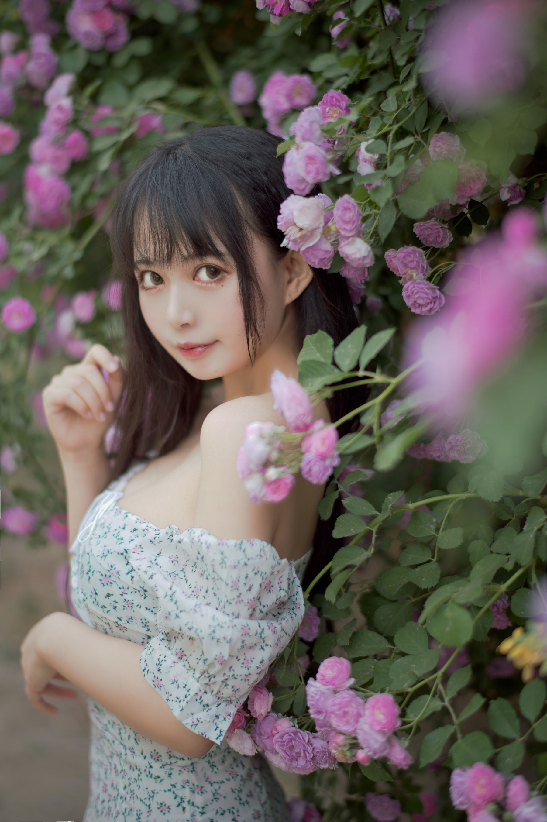 Meow Sugar Film] Vol. 338 Rozen Maiden