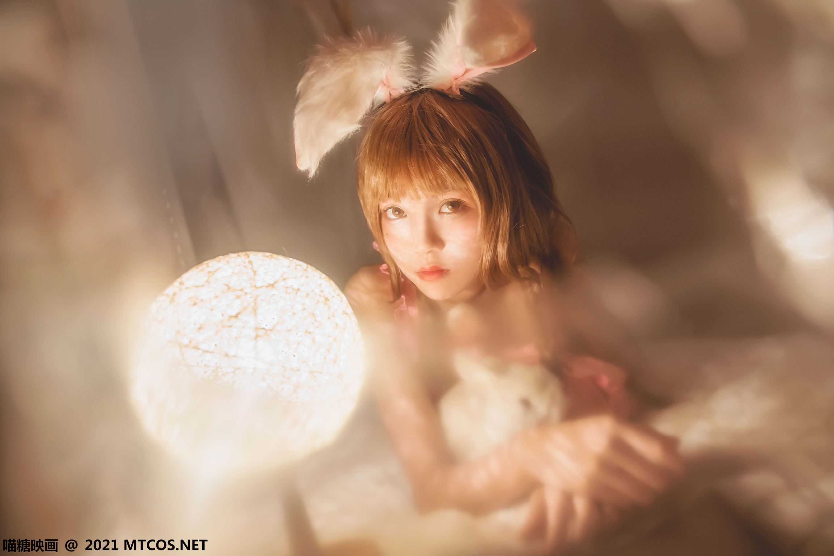 Meow Tang Film] Vol. 384: Hibernating Rabbit