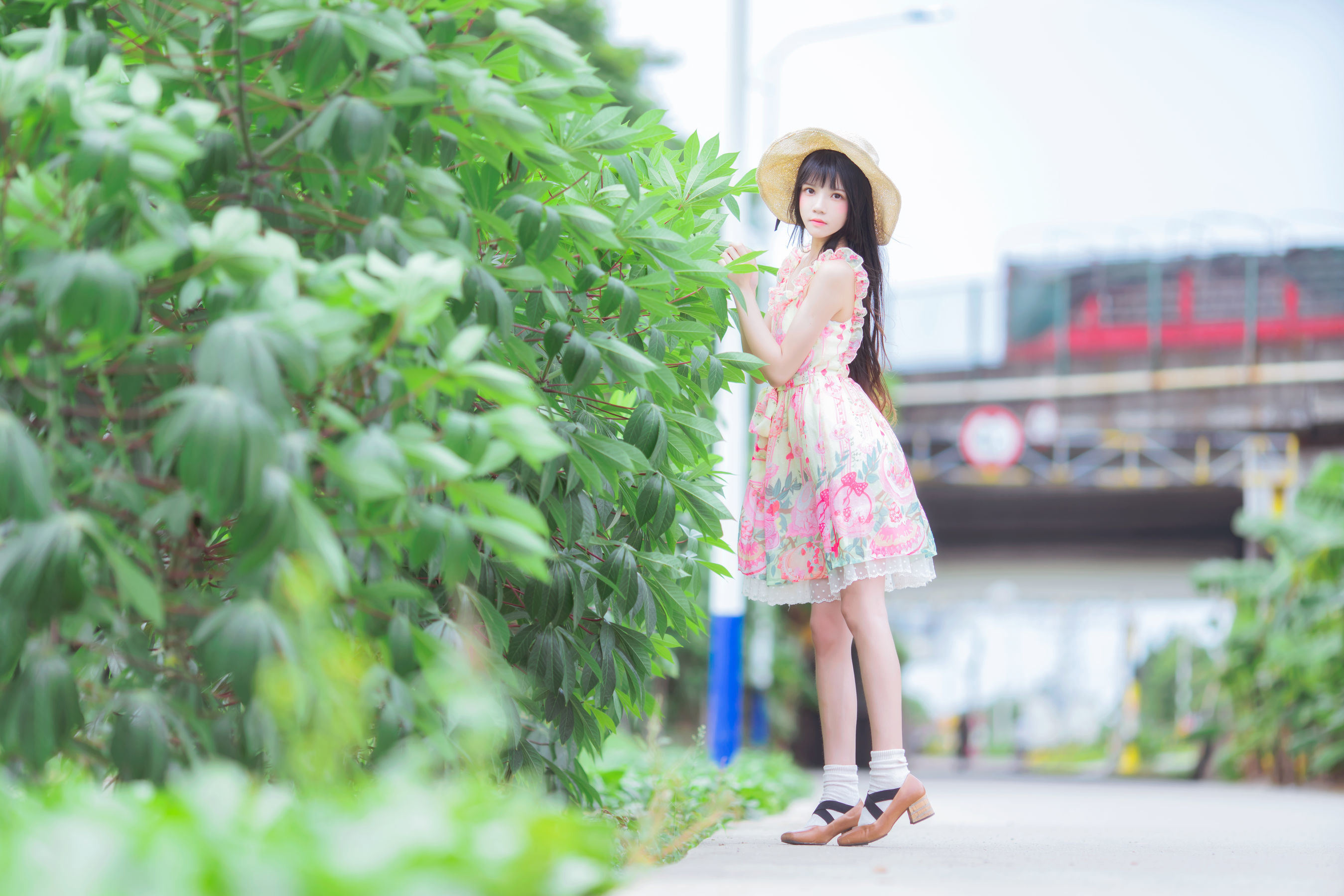 COS フクリ] 桜桃にゃん - 清新な夏風