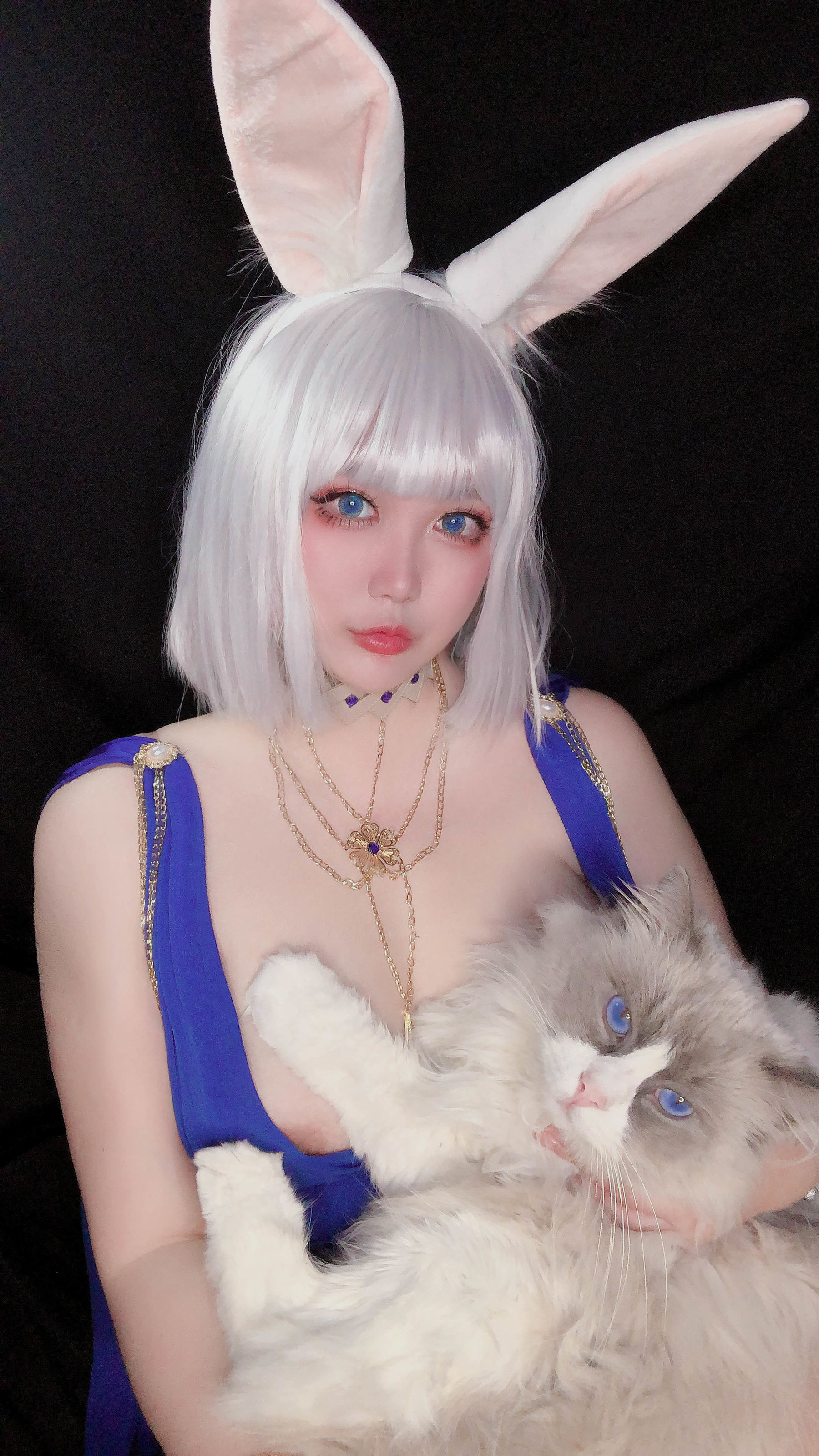 COS 特典] COSちゃん 椒妮佐仁 - 加賀