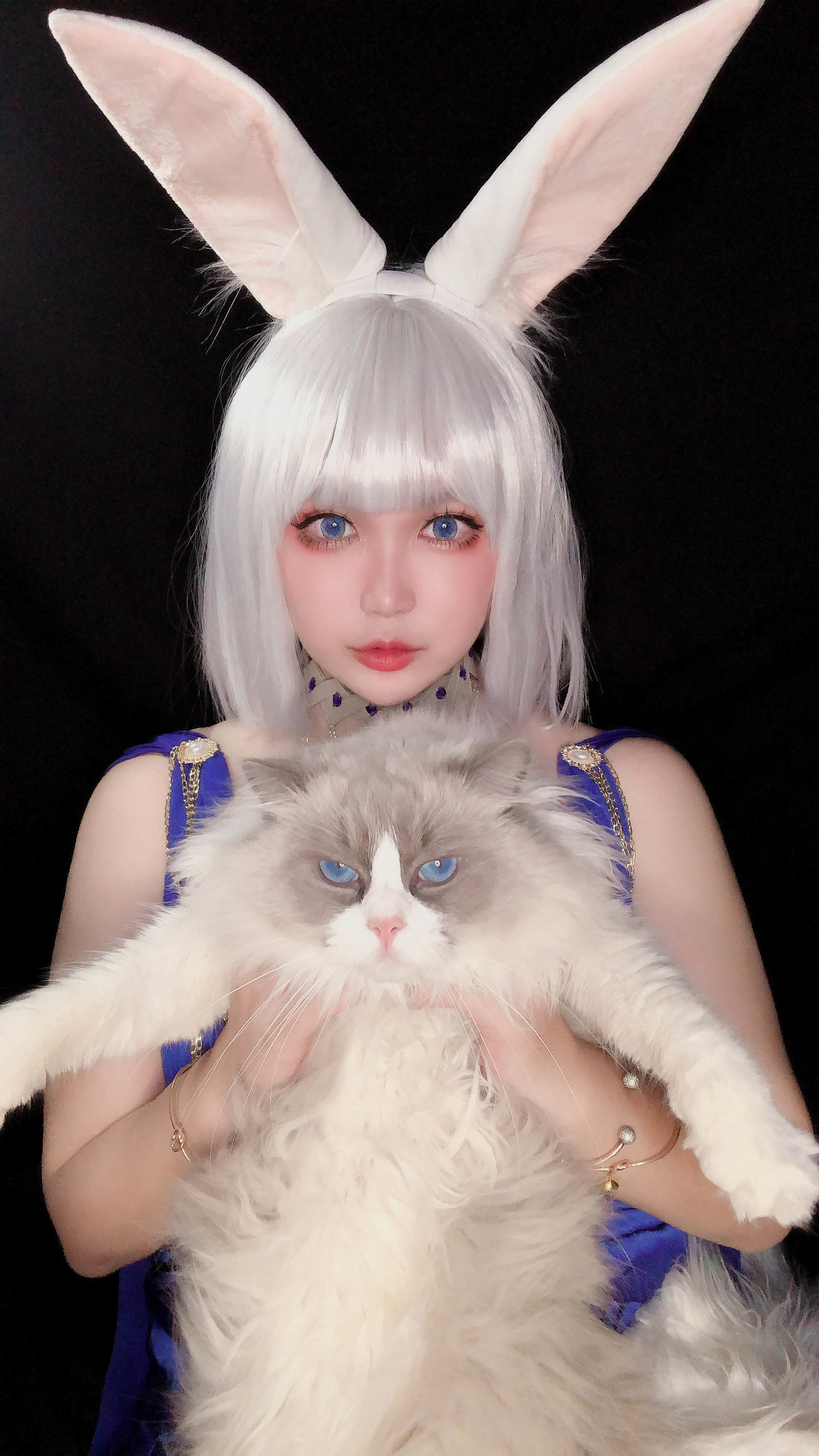 COS 特典] COSちゃん 椒妮佐仁 - 加賀