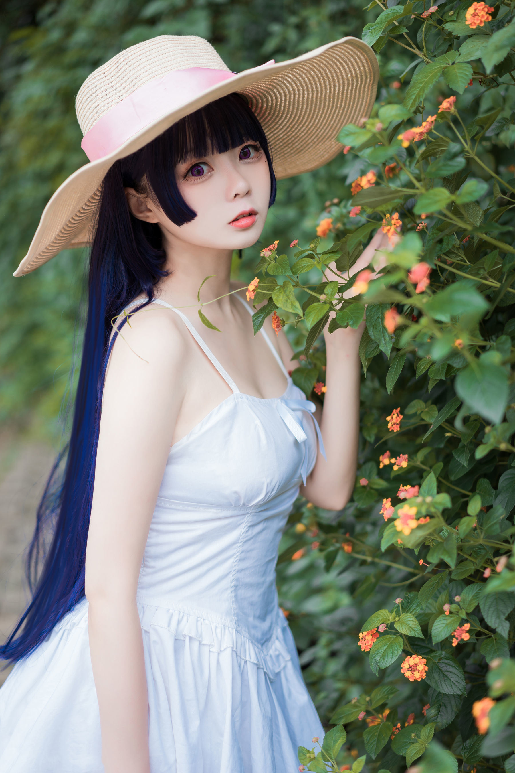 Miêu Đường Điện Ảnh] VOL.414 Vườn Bạch Váy