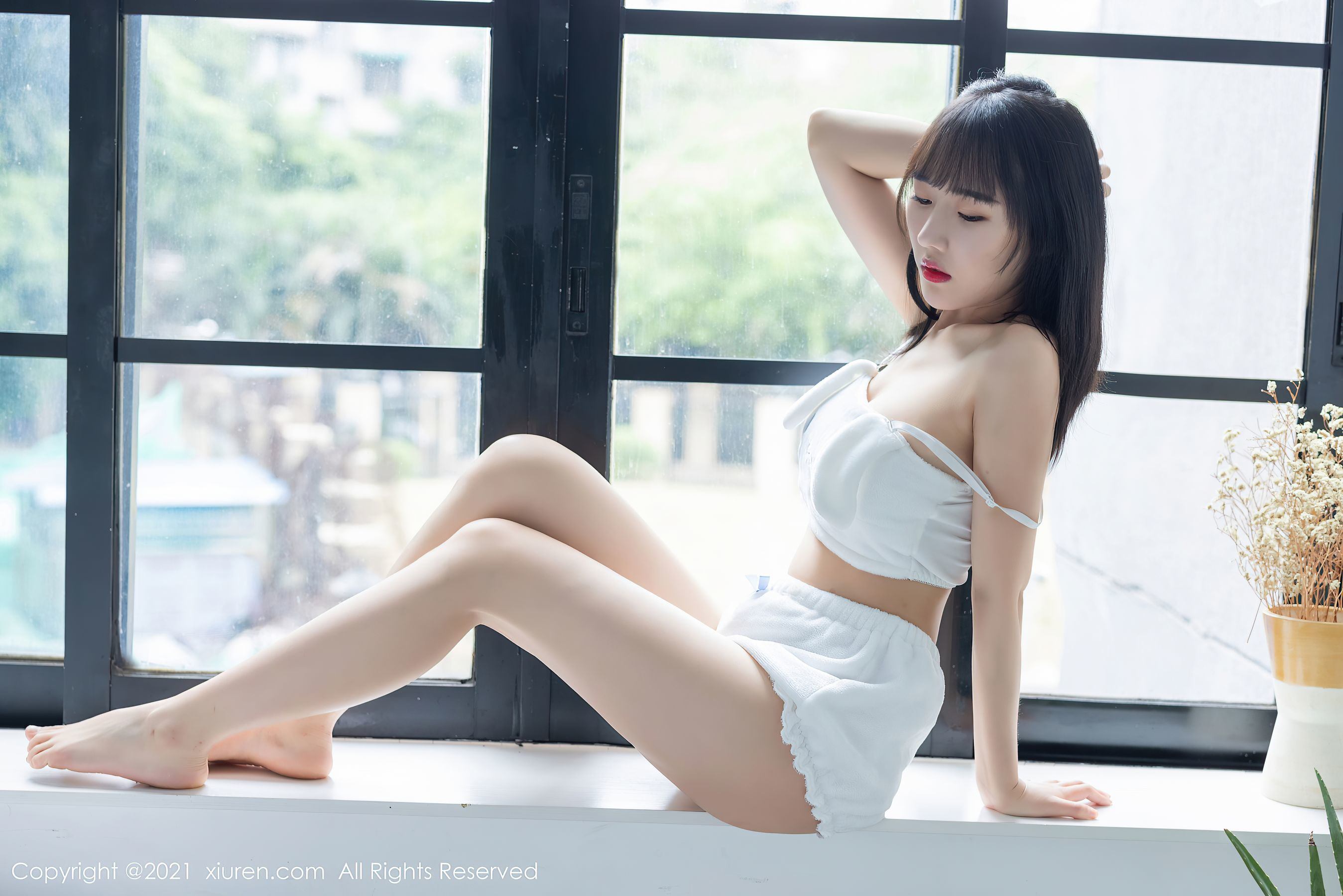 ซีอูเรน] No.3457 ทังซิน