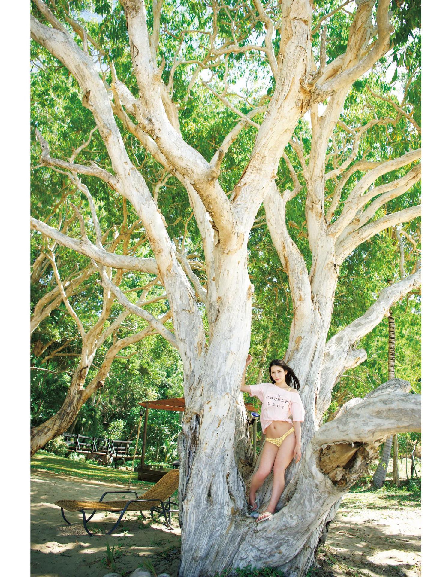 本庄鈴写真集 natural beauty 116P