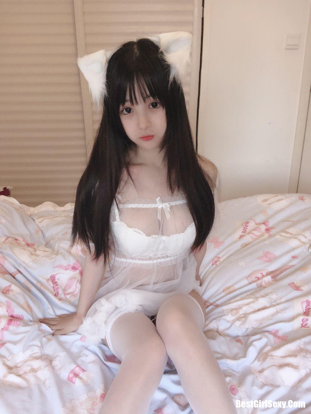 Sakurai Ningning] Mèo trắng nhỏ