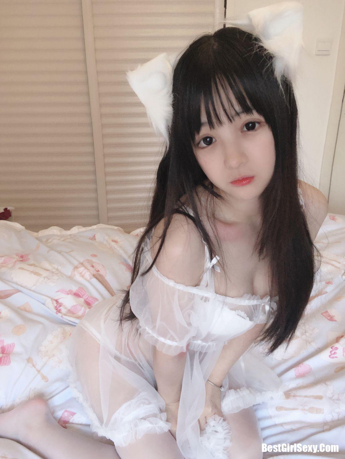 Sakurai Ningning] Mèo trắng nhỏ