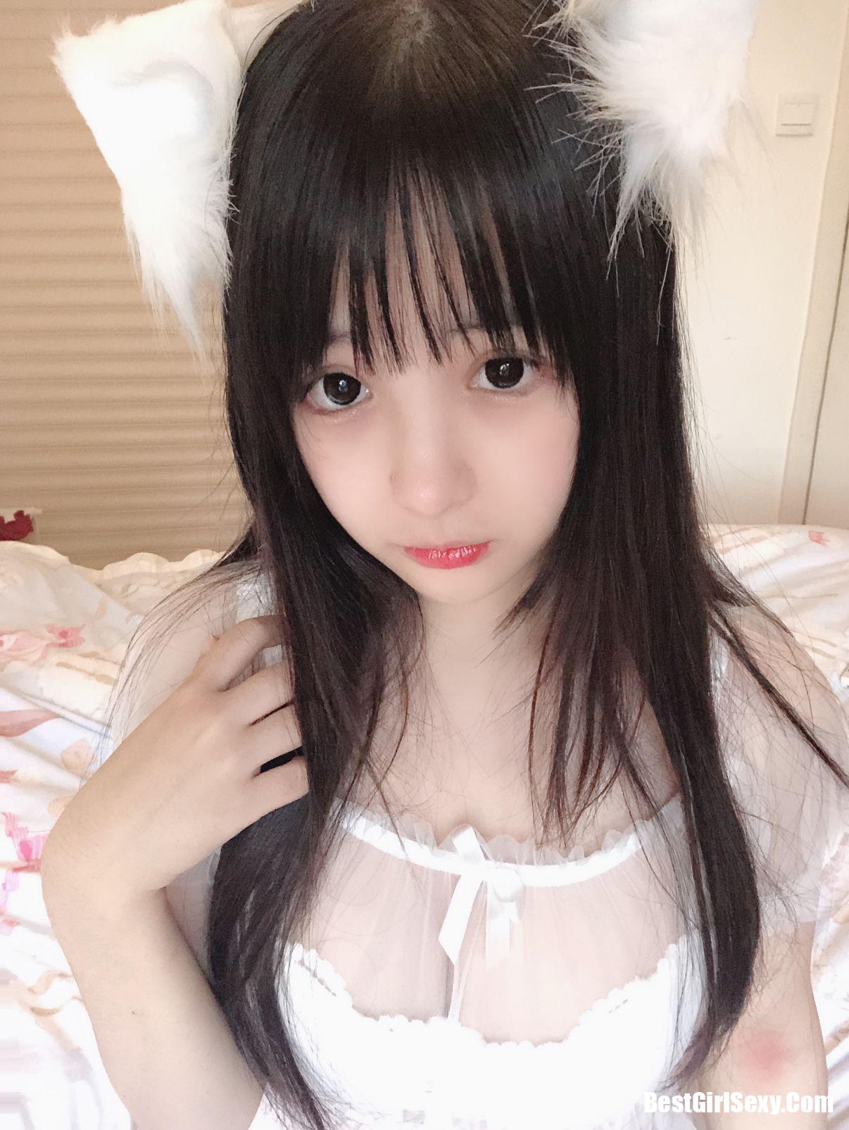Sakurai Ningning] Mèo trắng nhỏ